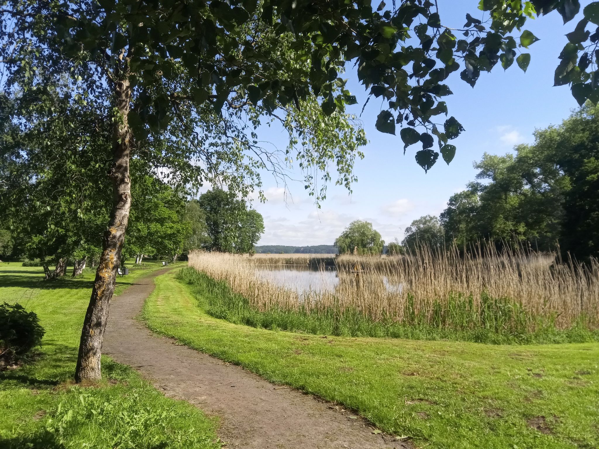 Kurpark Bad Sülze