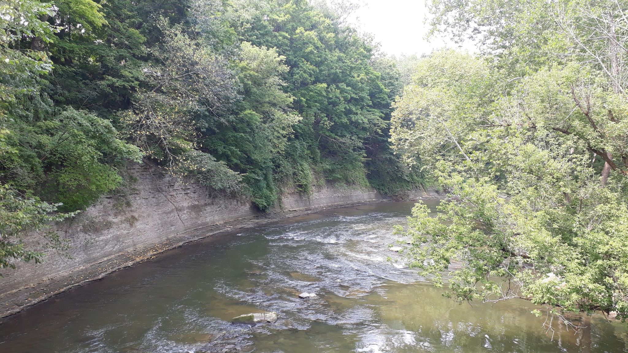 A river flows between steep, wooded banks under an overcast sky. - Cuyahoga River Bridge – Boston Trailhead loop from Red Lock Trailhead