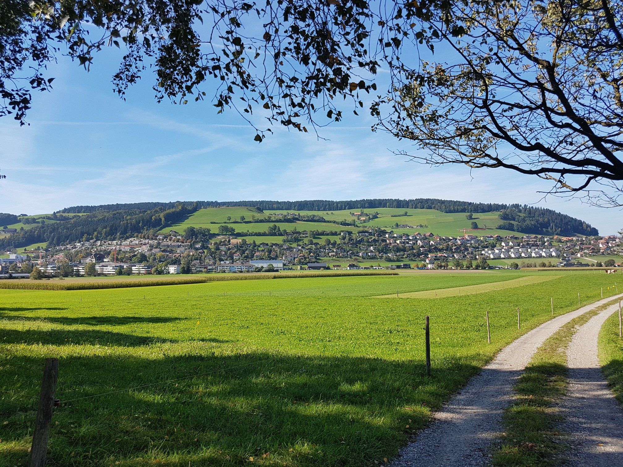 Konolfingen