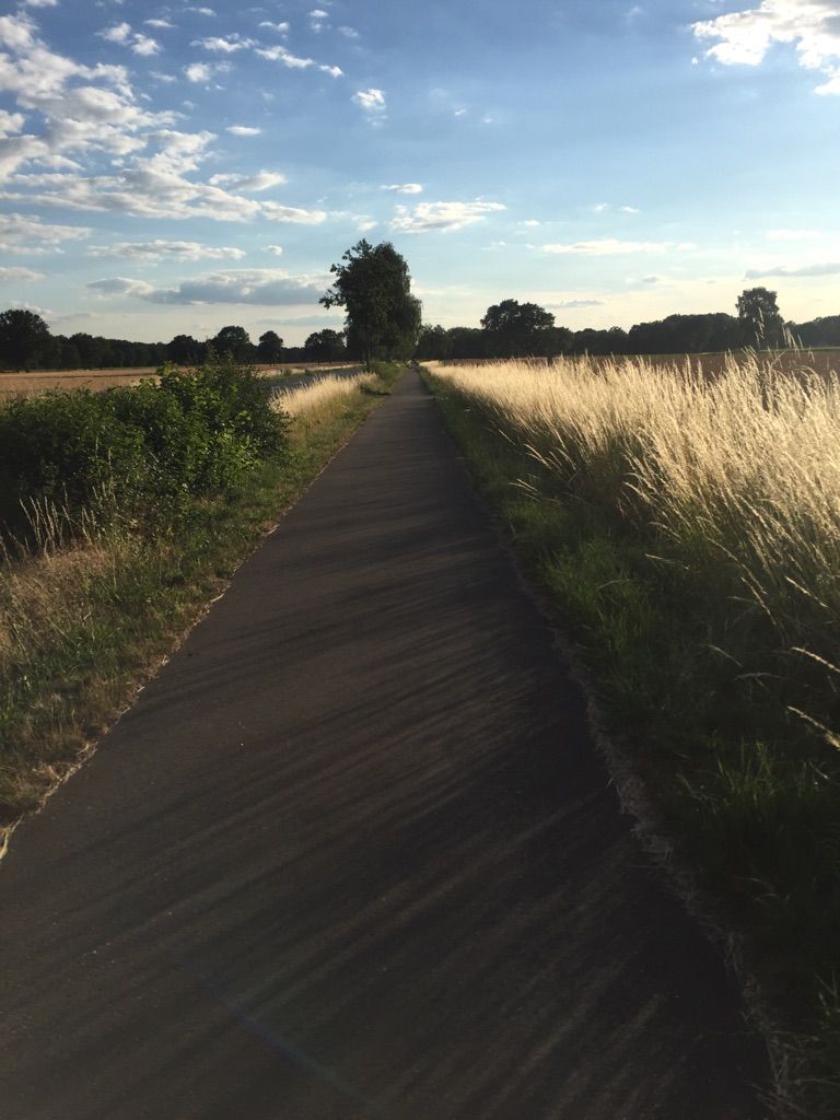 Radweg parallel der B214