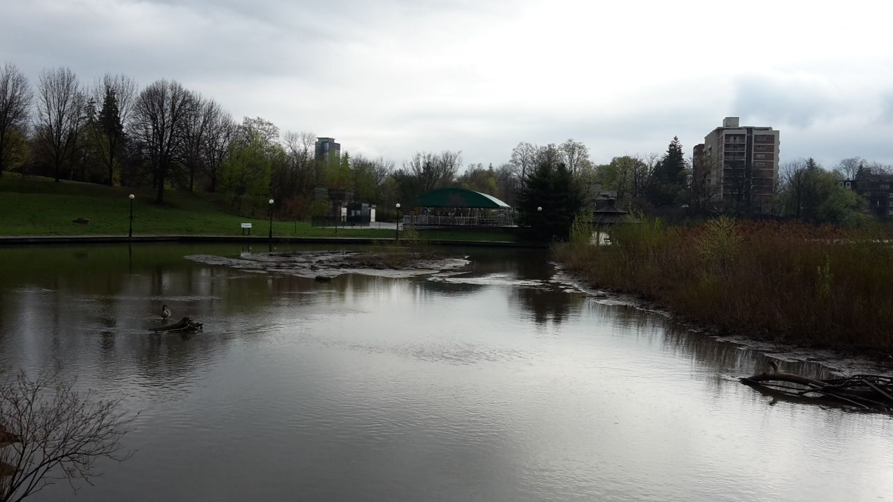 lions lagoon
