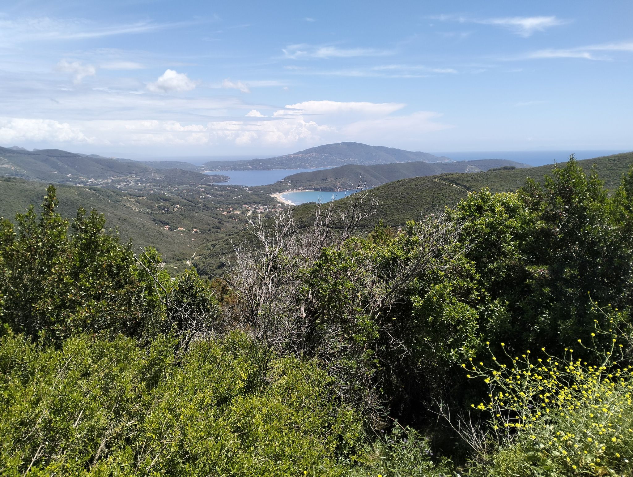 lacona e Monte calamita 