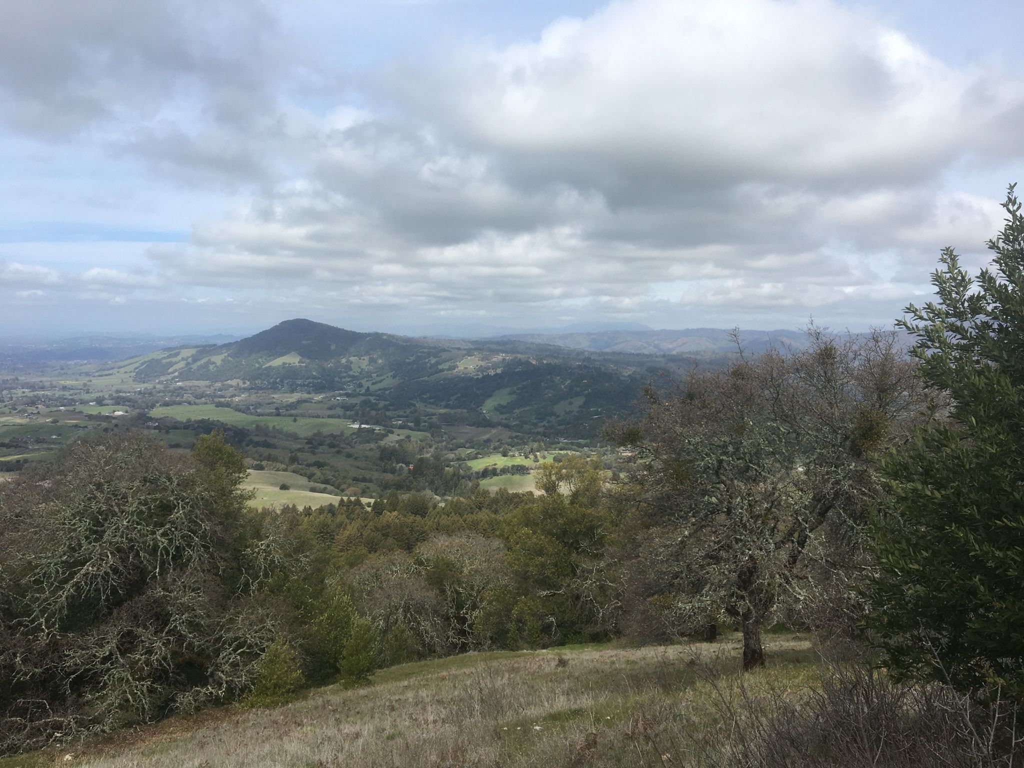 Panoramic view of green hills and valleys under a cloudy sky. - Bennett Valley Overlook