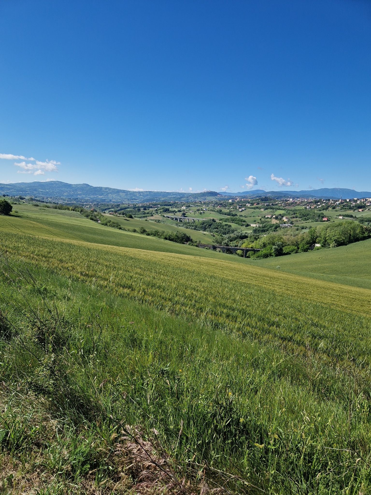 Panorama