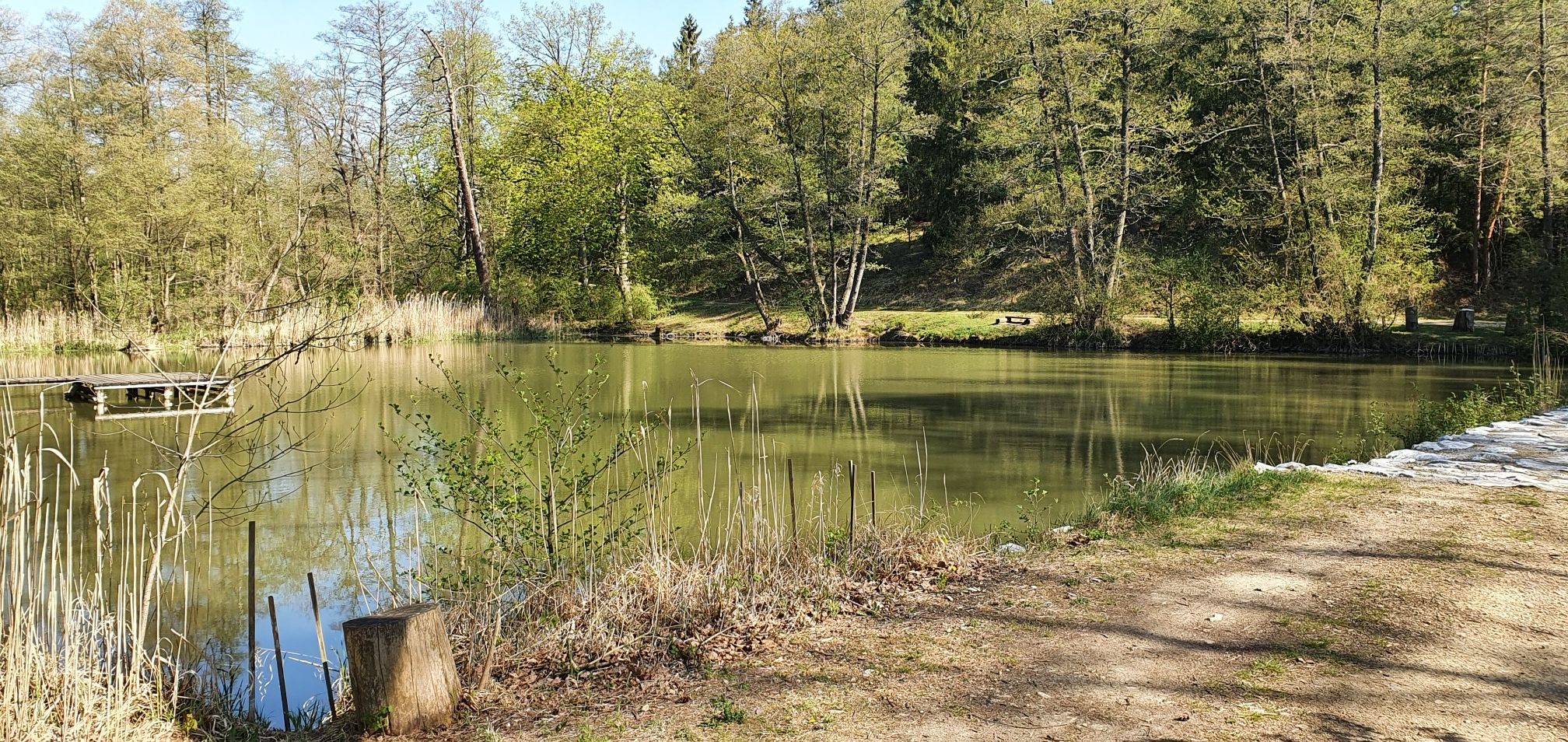der obere Manhartsberg-Teich
