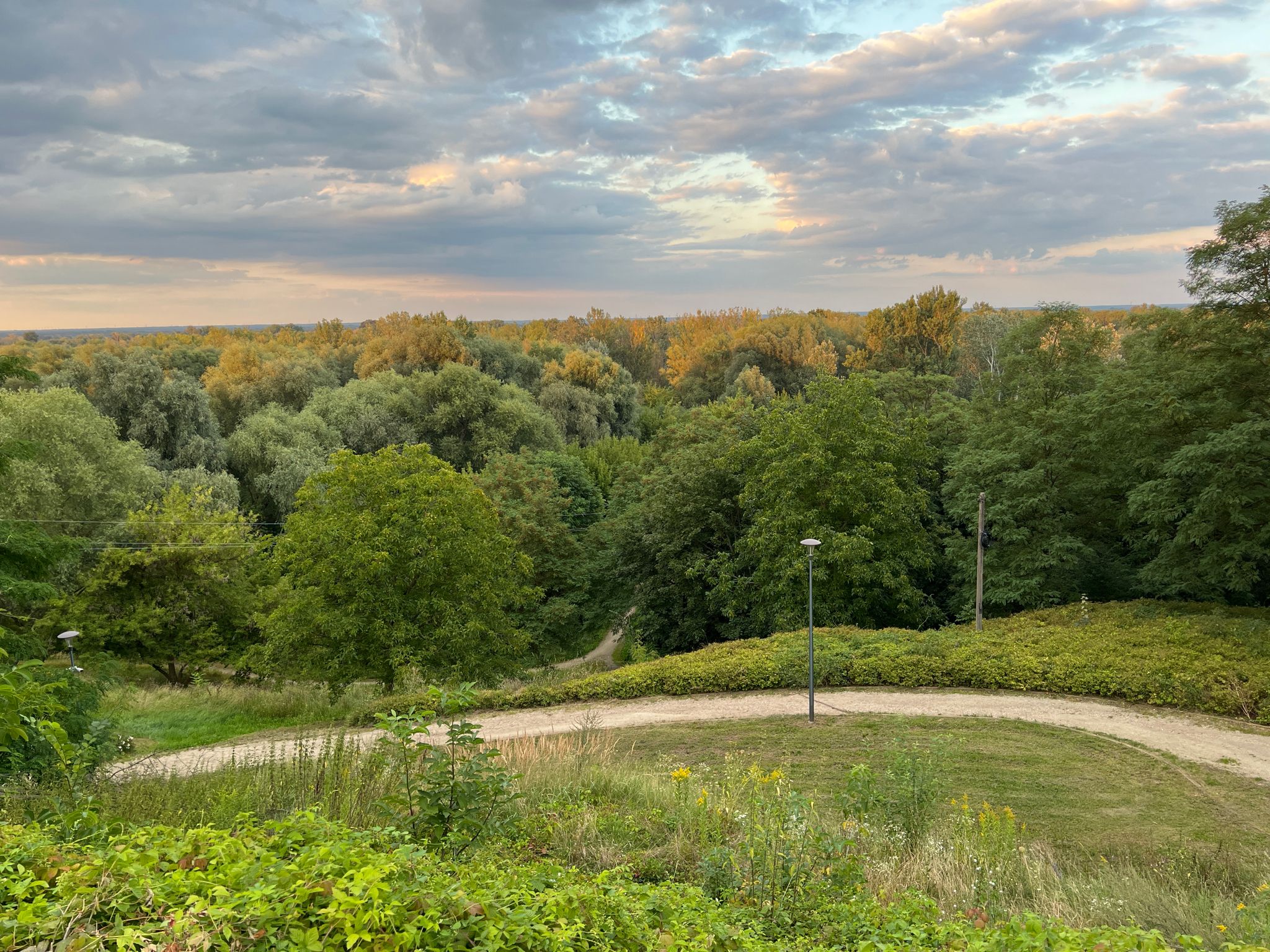Blick über die Weichsel-Auen