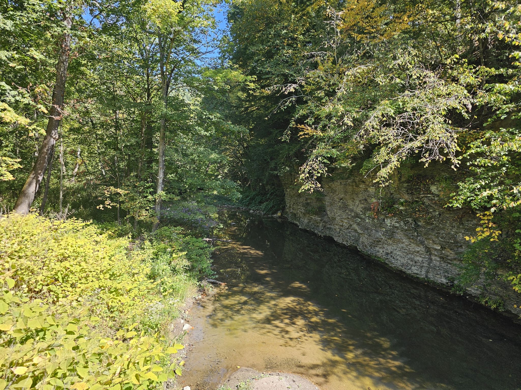 A calm stream flows through a lush green forest on a sunny day. - Enlow Tunnel – Forestbrooke Conservation Area loop from McDonald