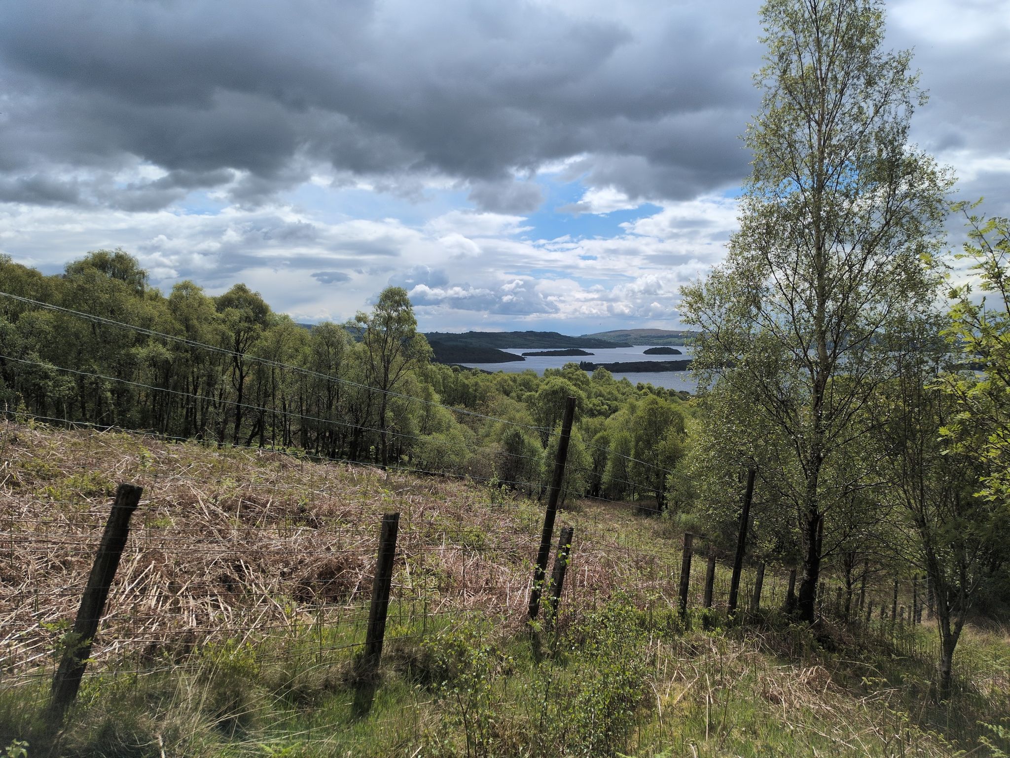 uitzicht Locht Lomond 