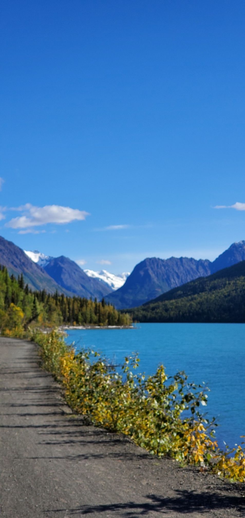 Paved road alongside a bright blue lake, with yellow bushes and snow-capped mountains. - Eklutna Lakeside Trail