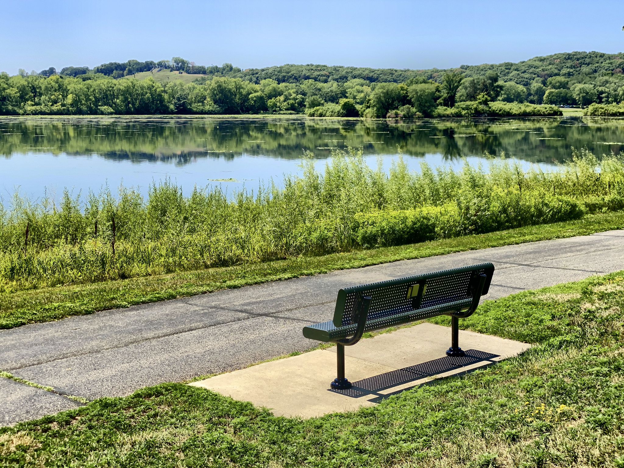 Empty black park bench beside a paved path overlooking a calm lake. - Lake Normandale Loop Trail