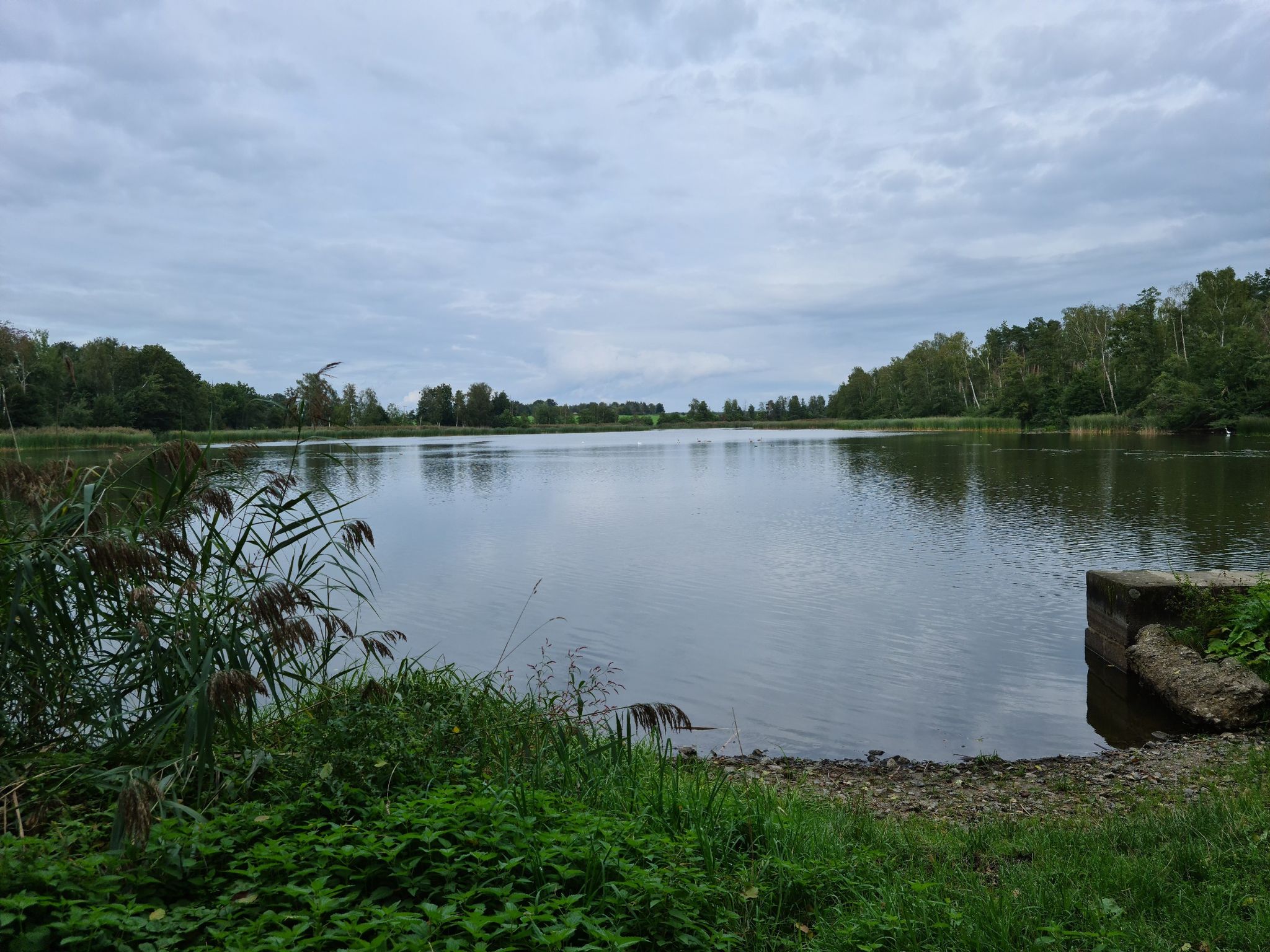 Niederteich