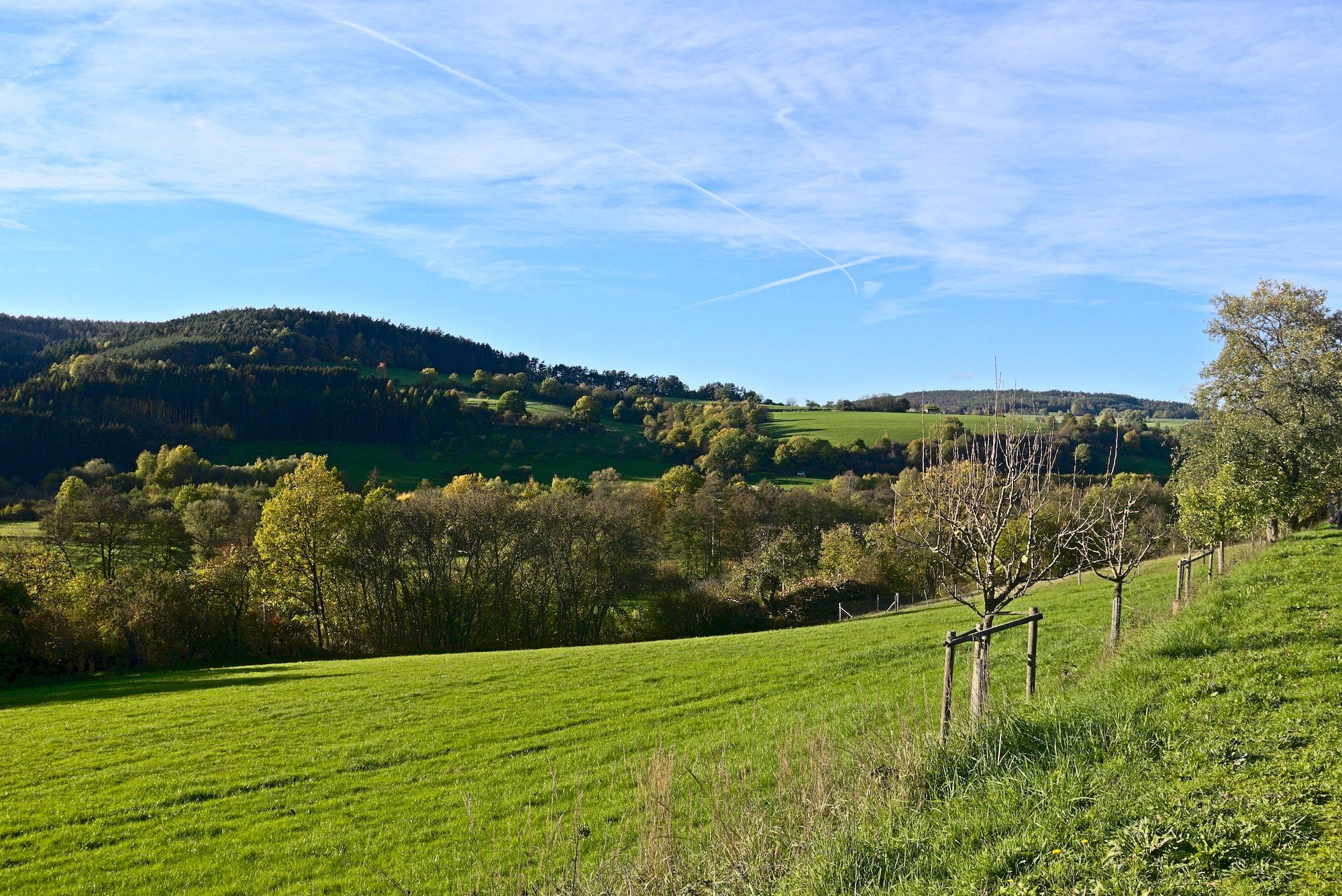 Ausblick hinter Burgsinn