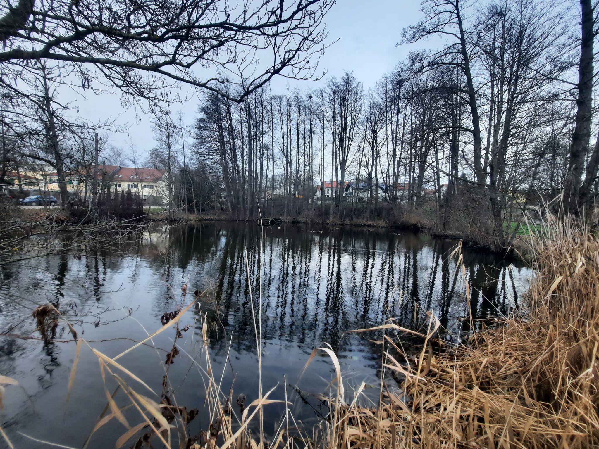 Löschweiher Oberdorfen