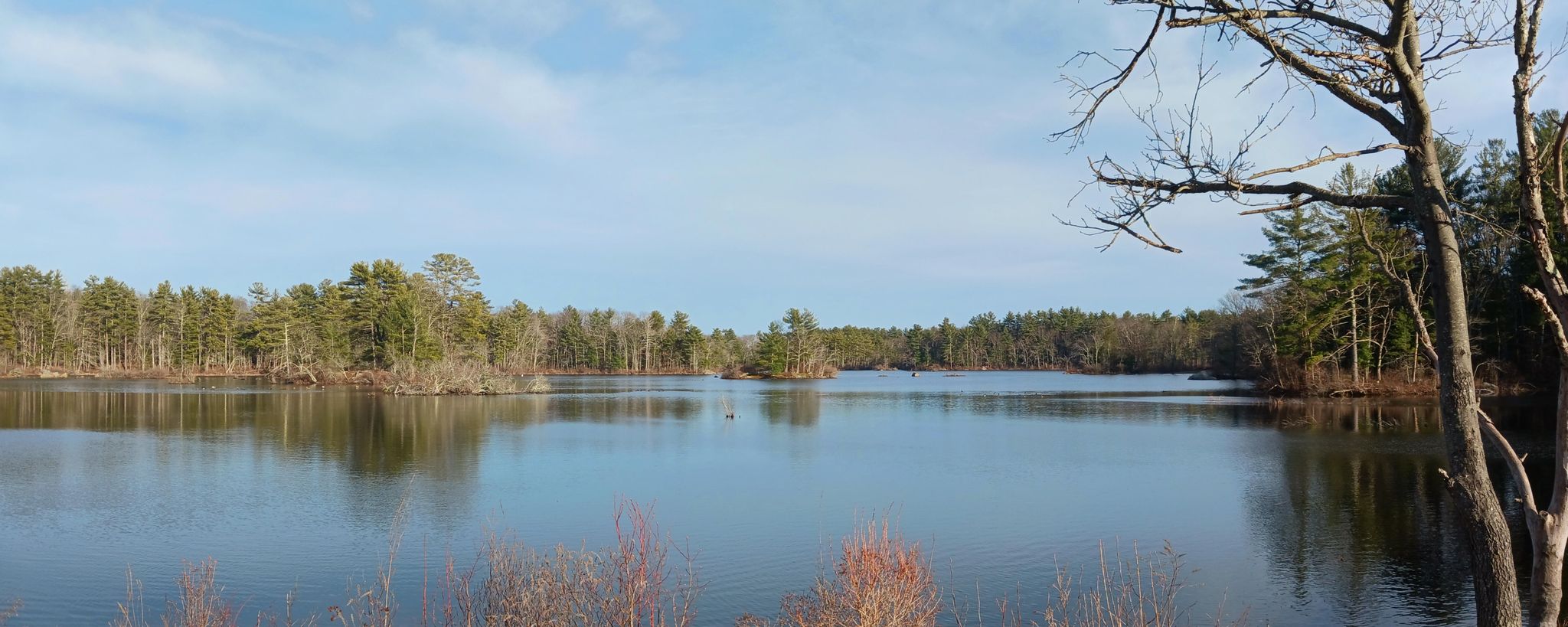 Serene lake reflecting a blue sky, surrounded by dense forest under bright sunlight. - Independence Greenway Trail – Border to Boston Trail - Trailhead loop from North Reading