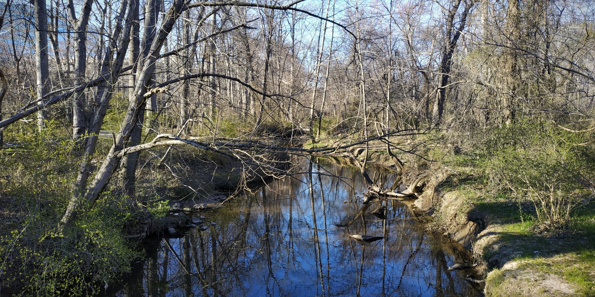 A calm river reflects bare trees under bright natural light. - Holmes Run Stream Valley Park Walk