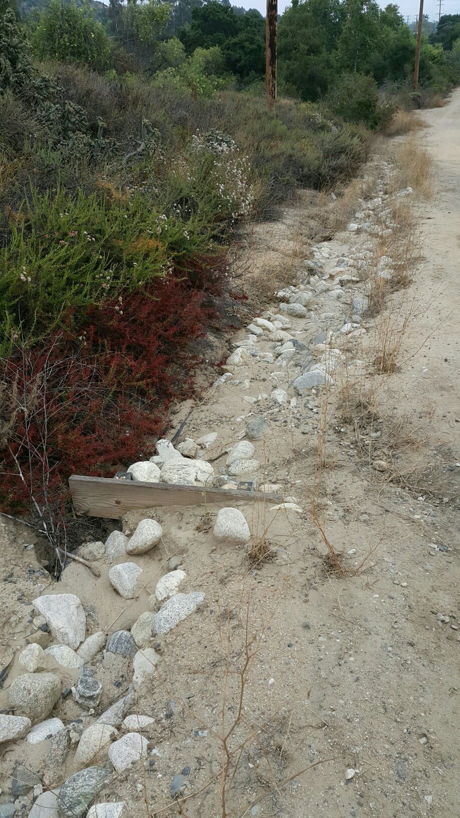 A dirt path runs alongside a rocky ditch with dry, green, and red vegetation. - Serrano Creek Trail