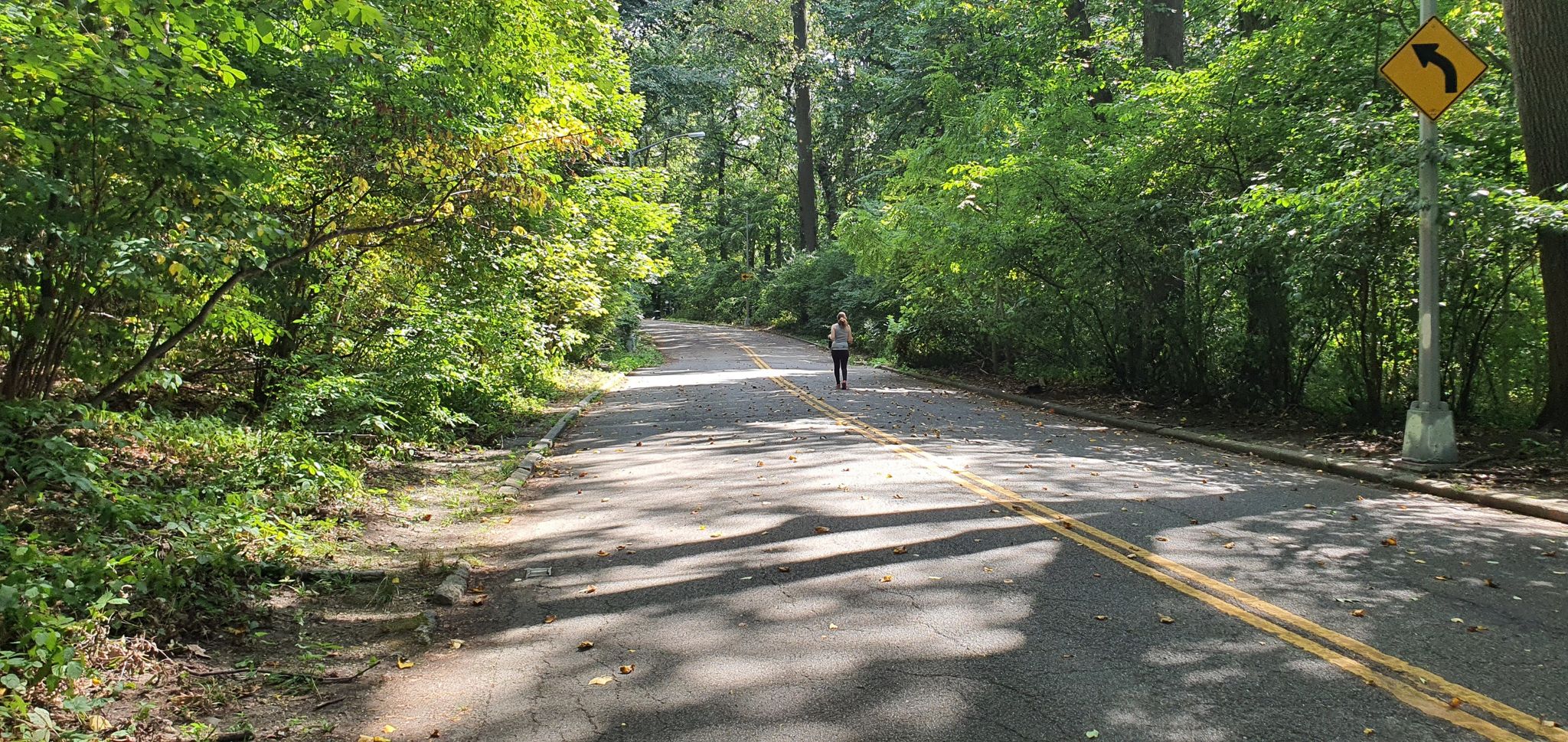 A person walks on a sunny, tree-lined paved road with shadows. - Forest Park. Queens, NY loop from Queens