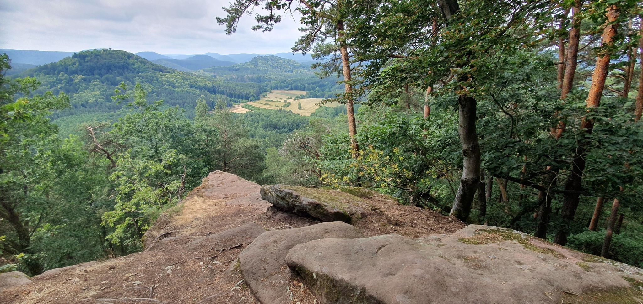 Blick vom Immersberg auf das Tal bei Lindelbrunn