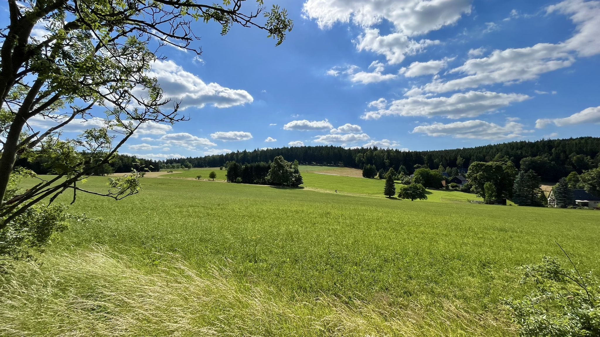 Erster Verlauf Lockwitzbach