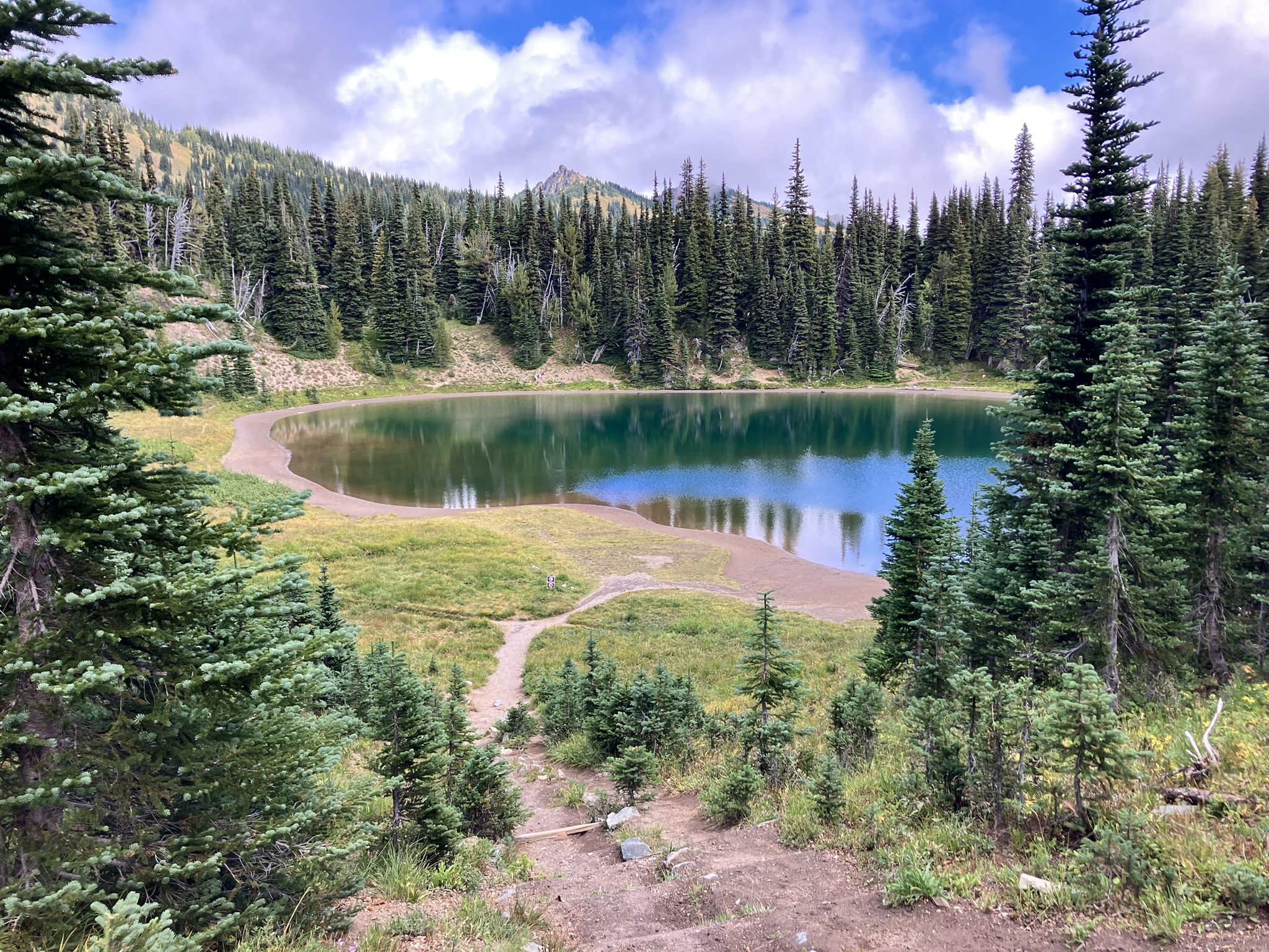 Elevated view of a serene lake surrounded by dense evergreen forest under cloudy sky. - Burroughs Mountain Loop via Glacier Basin