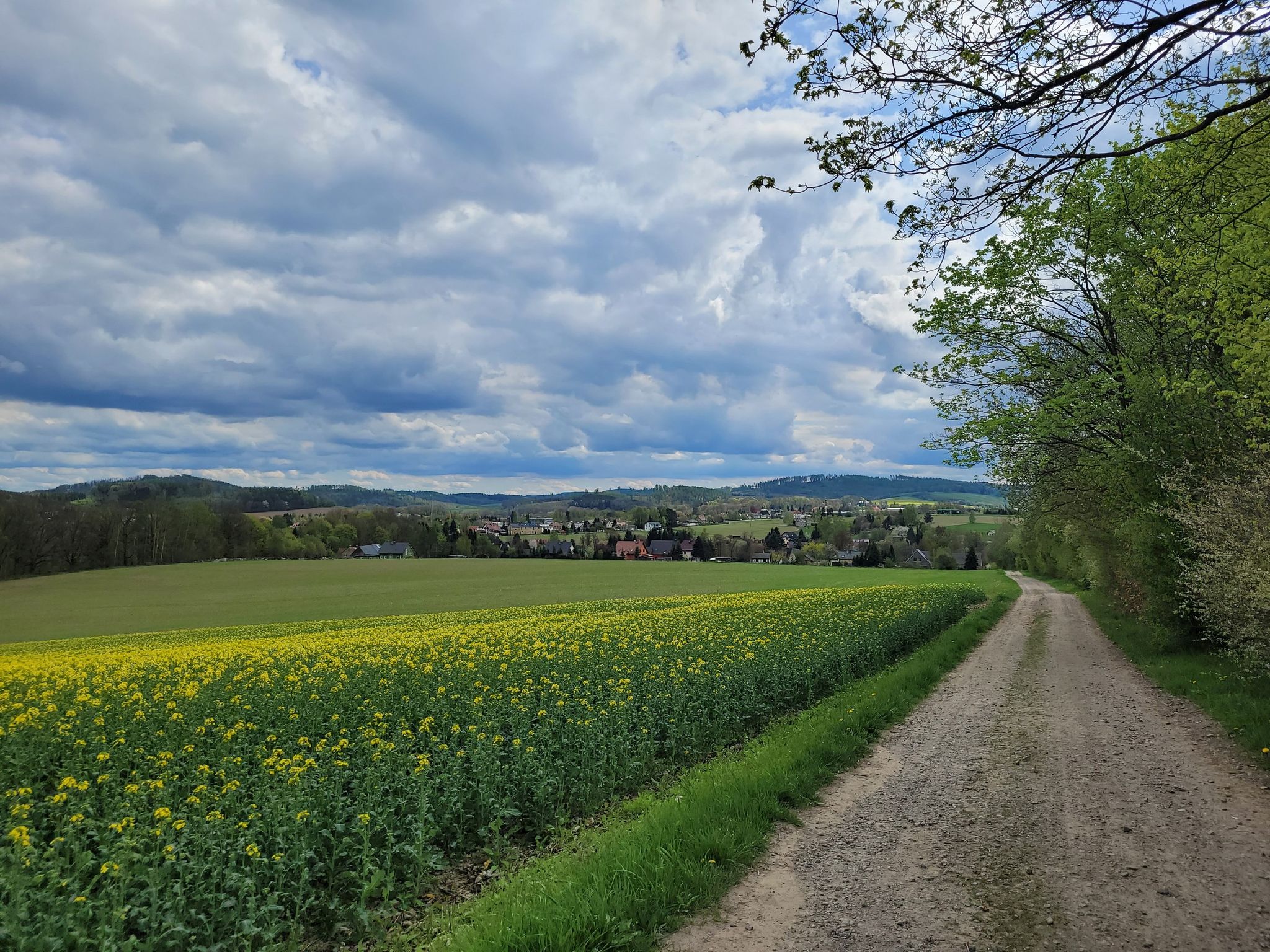 Blick über Petersbach nach Sohland an der Spree