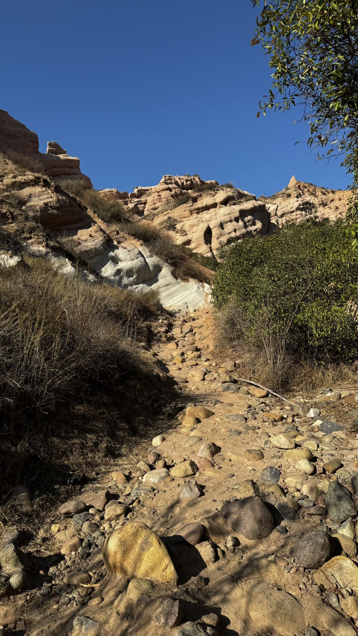 Rocky dry creek bed leading to layered sandstone cliffs under a clear blue sky. - Borrego Canyon and Red Rock Canyon Trail
