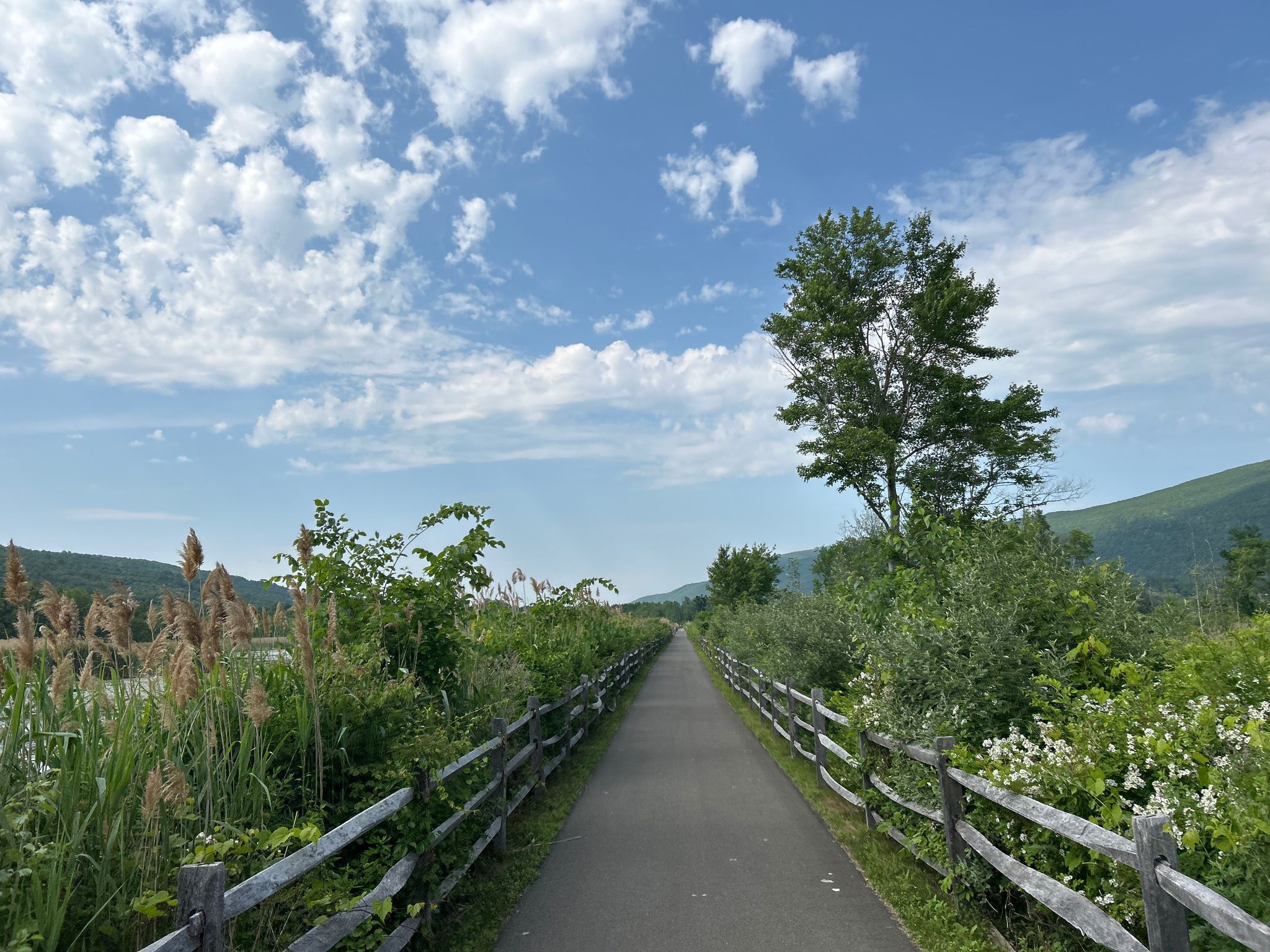 Paved path with wooden fences, green foliage, and distant mountains under cloudy sky. - Rail Trail North Start – Rail trail bridge loop from Town of Hillsdale