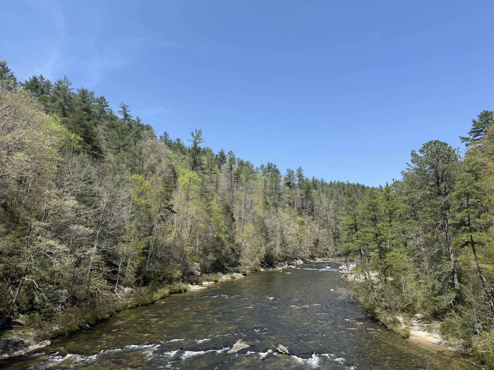 A wide river with rapids flows between forested hills under a clear blue sky. - Alf Hill loop from Chattooga River Information Center