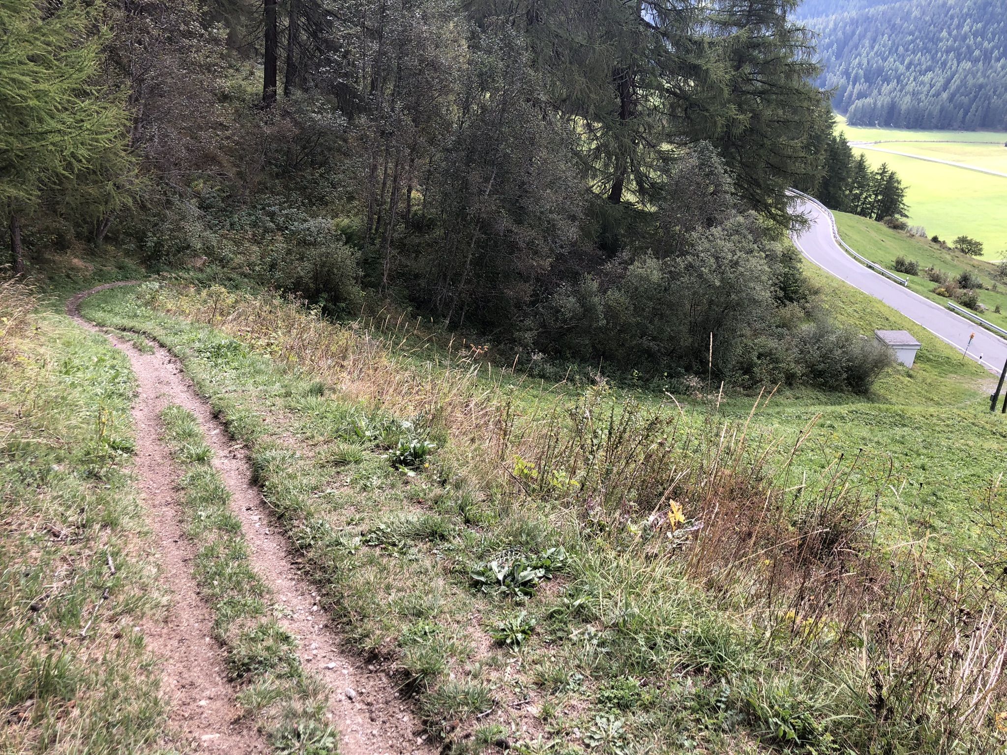 Spassiger Wiesentrail