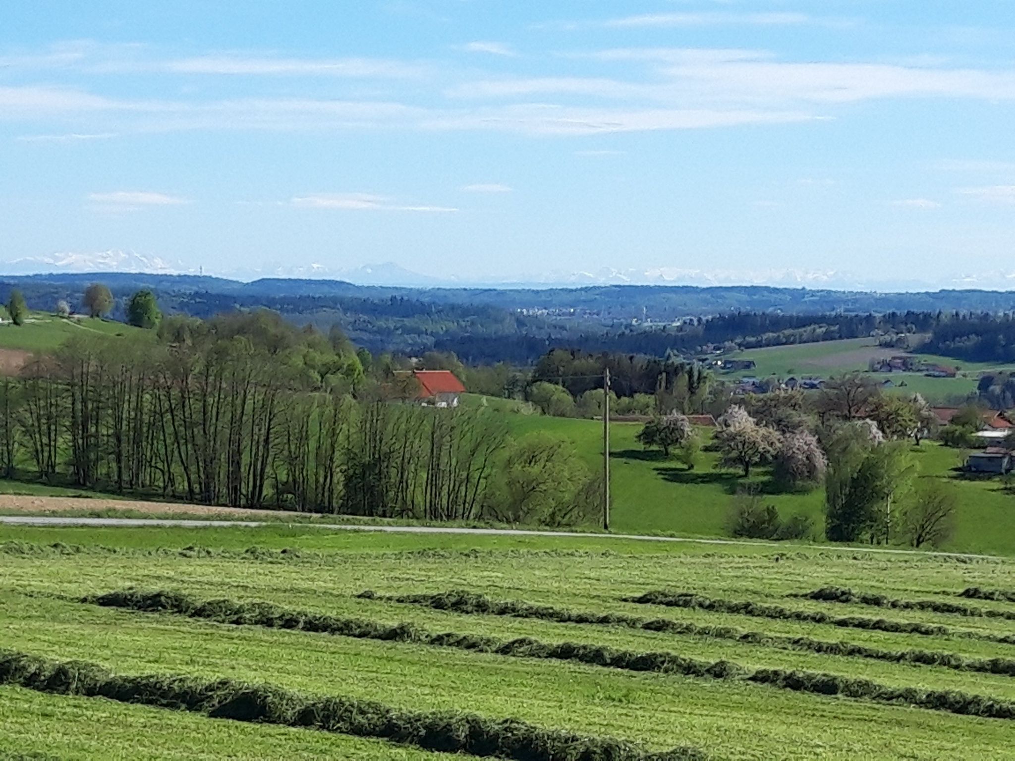 in weiter ferne' die Alpen 