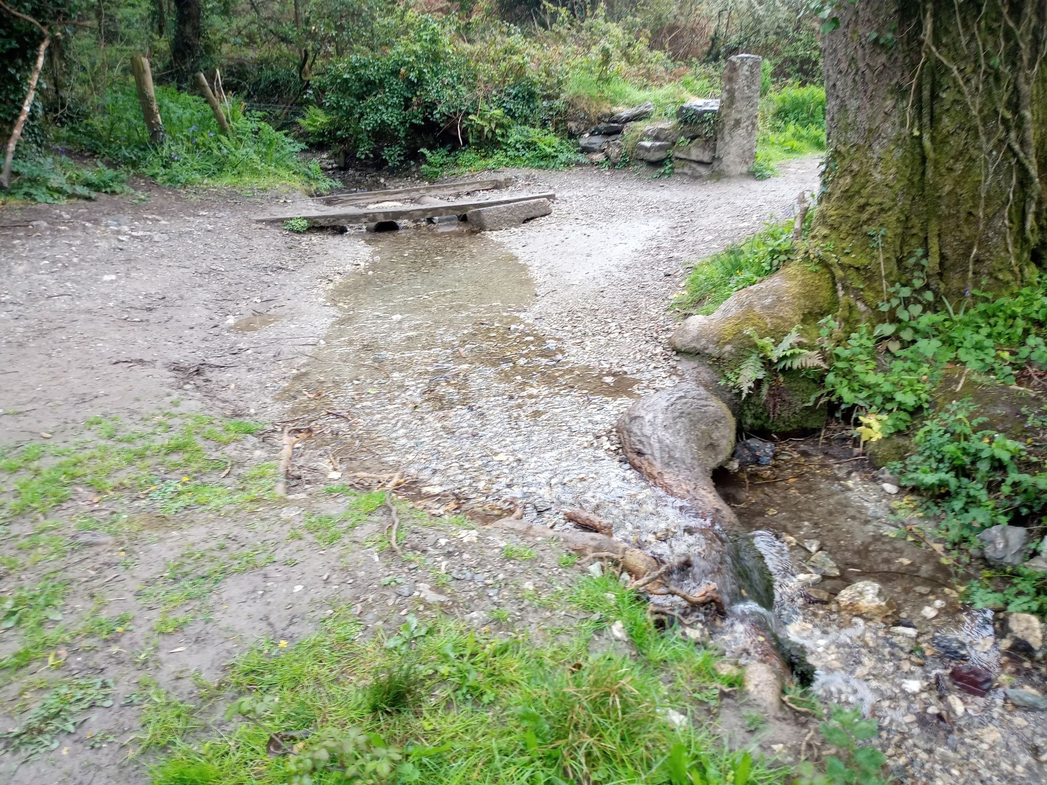 Easy crossing now, more rain debatable