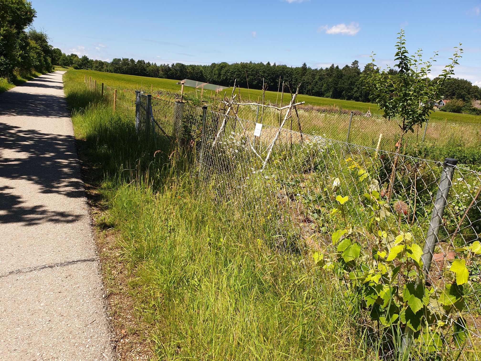 bei Oberhaching, Richtung Grünwald