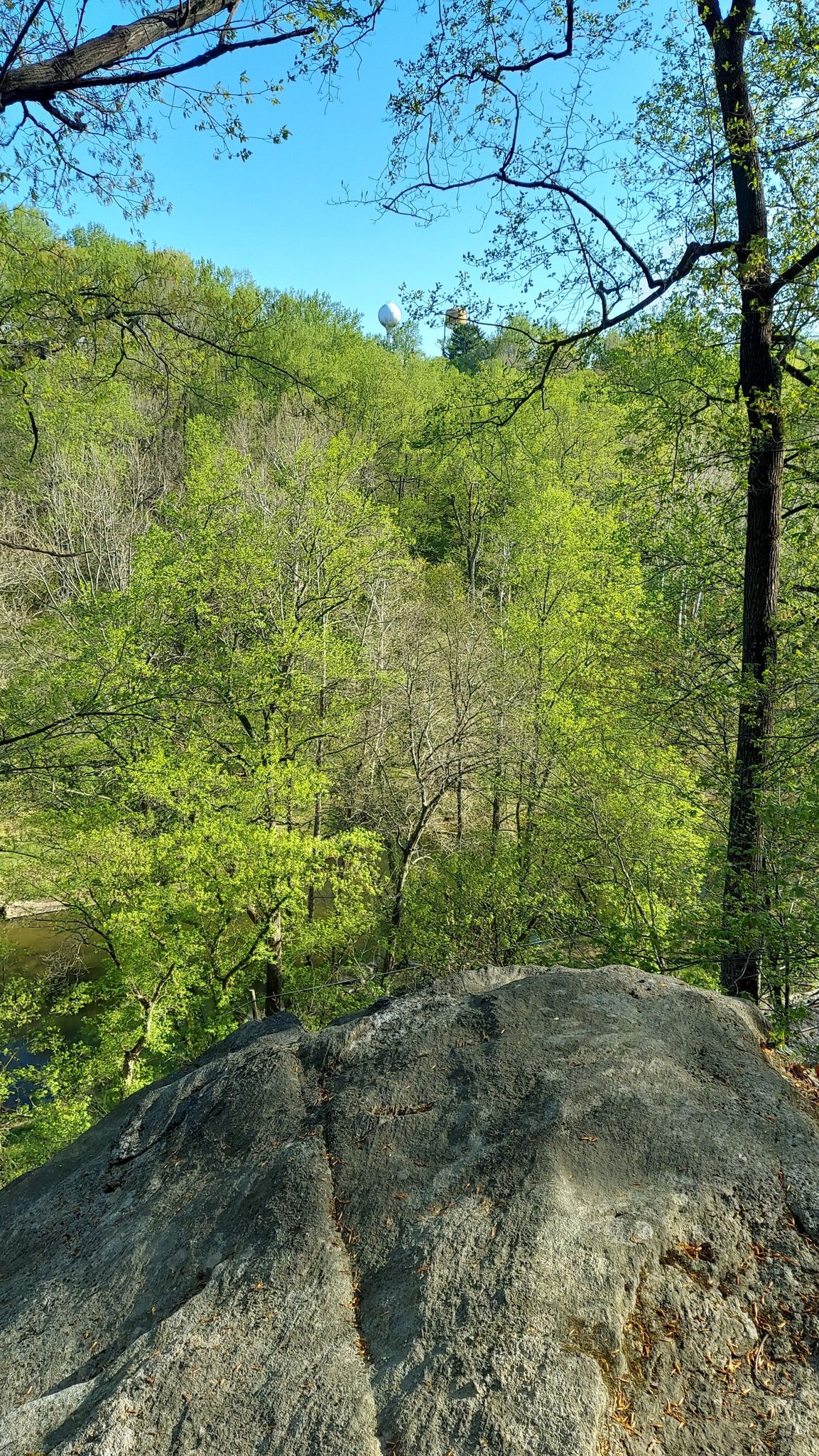 Large rock overlooking a vibrant green forest and river under a sunny sky. - Wood Marr Trail loop from Patapsco Valley State Park