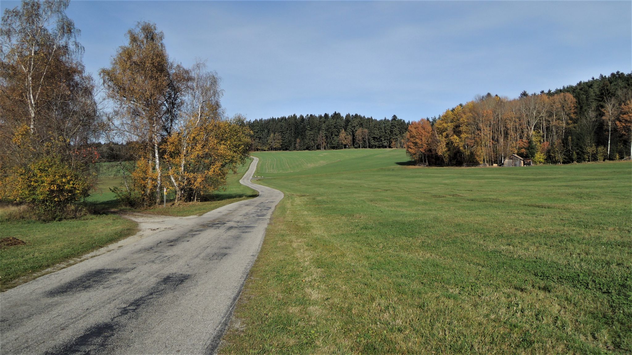 2022.10.30.  Weiter geht es links auf den Feldweg
