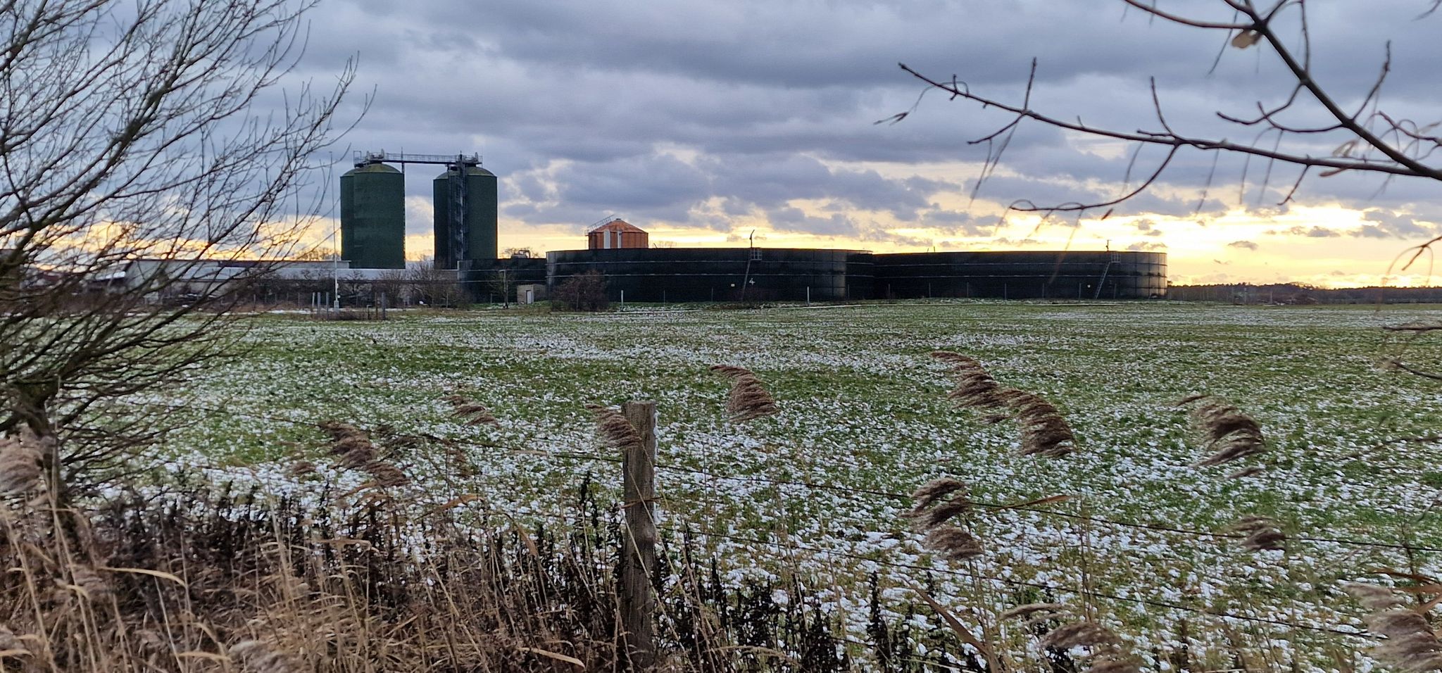 Landwirtschaftliche Produktionsgesellschaft Drößig