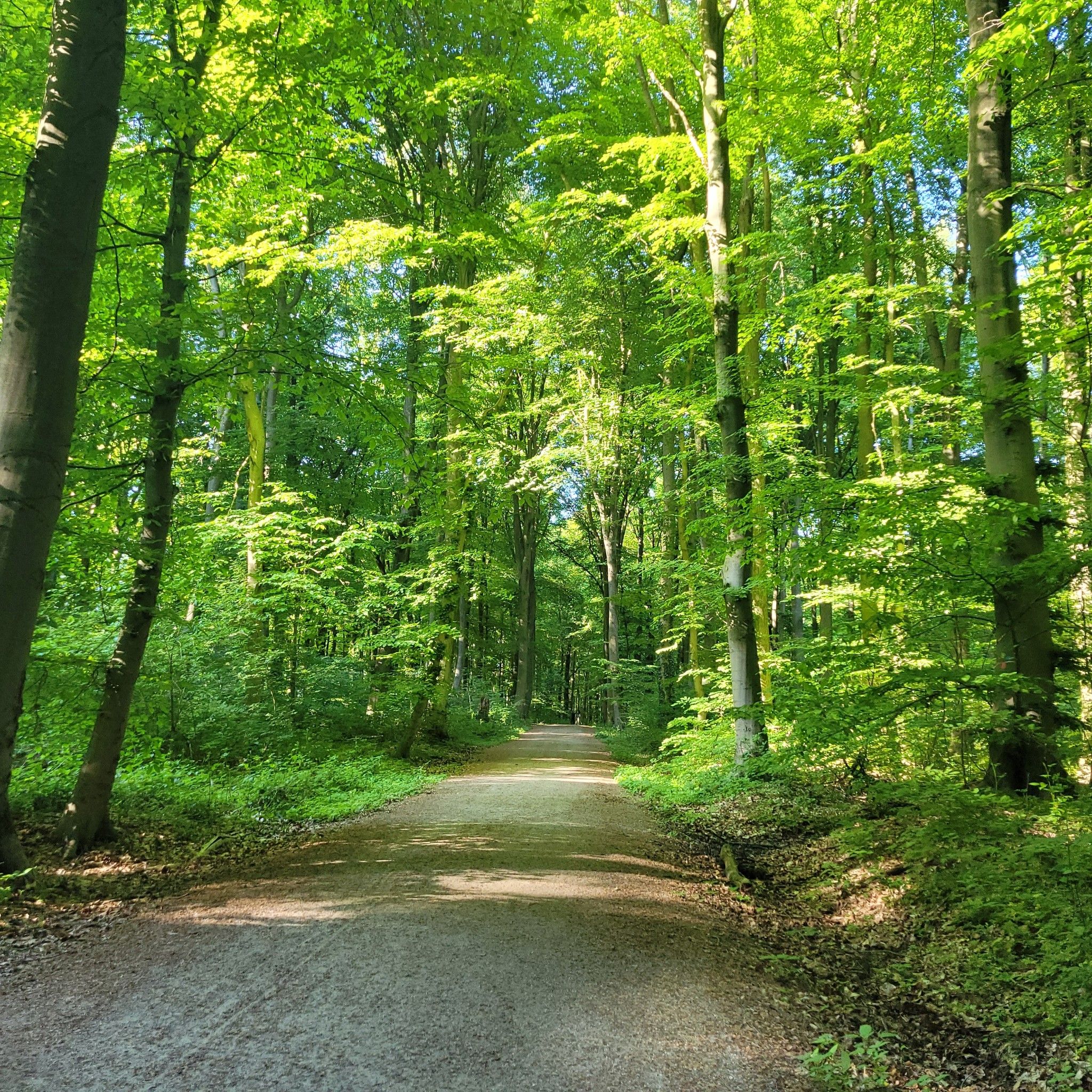 ... gibt es tolle Wege zum Radeln & Wandern