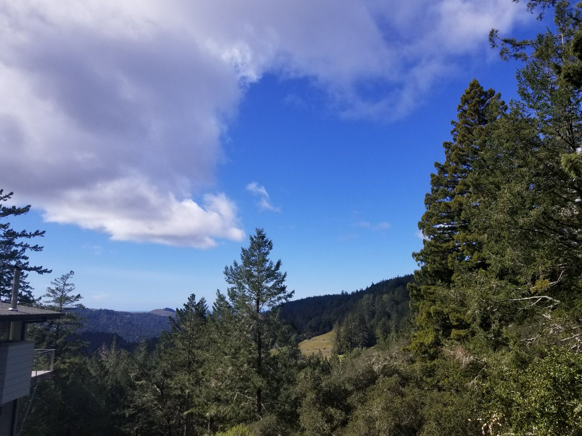 A vast forest landscape under a partly cloudy blue sky. - Willow Creek Fire Road loop from Campsite 4