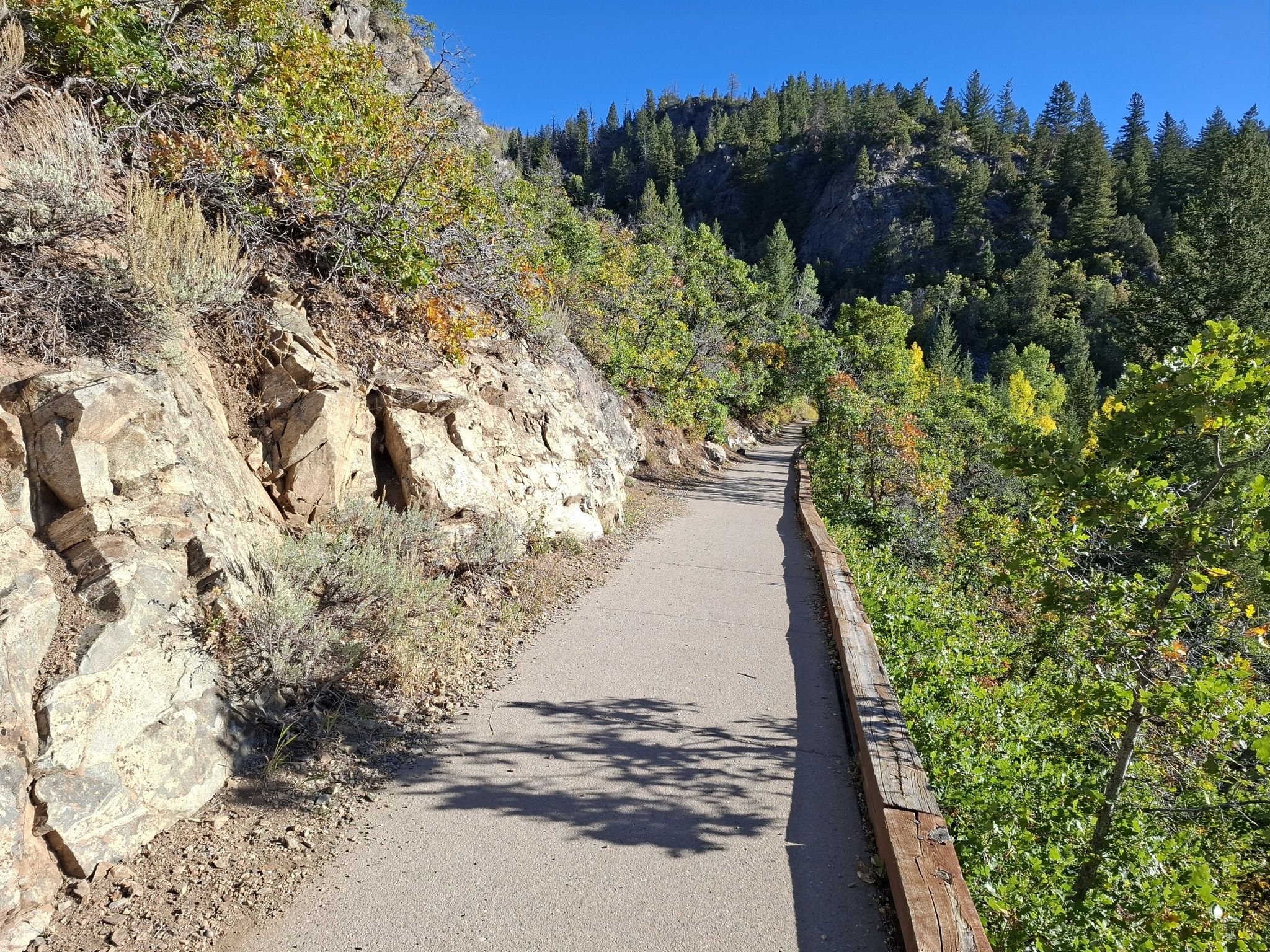 Paved path winding through a sunny, forested mountain landscape. - Fish Creek Falls Overlook Trail