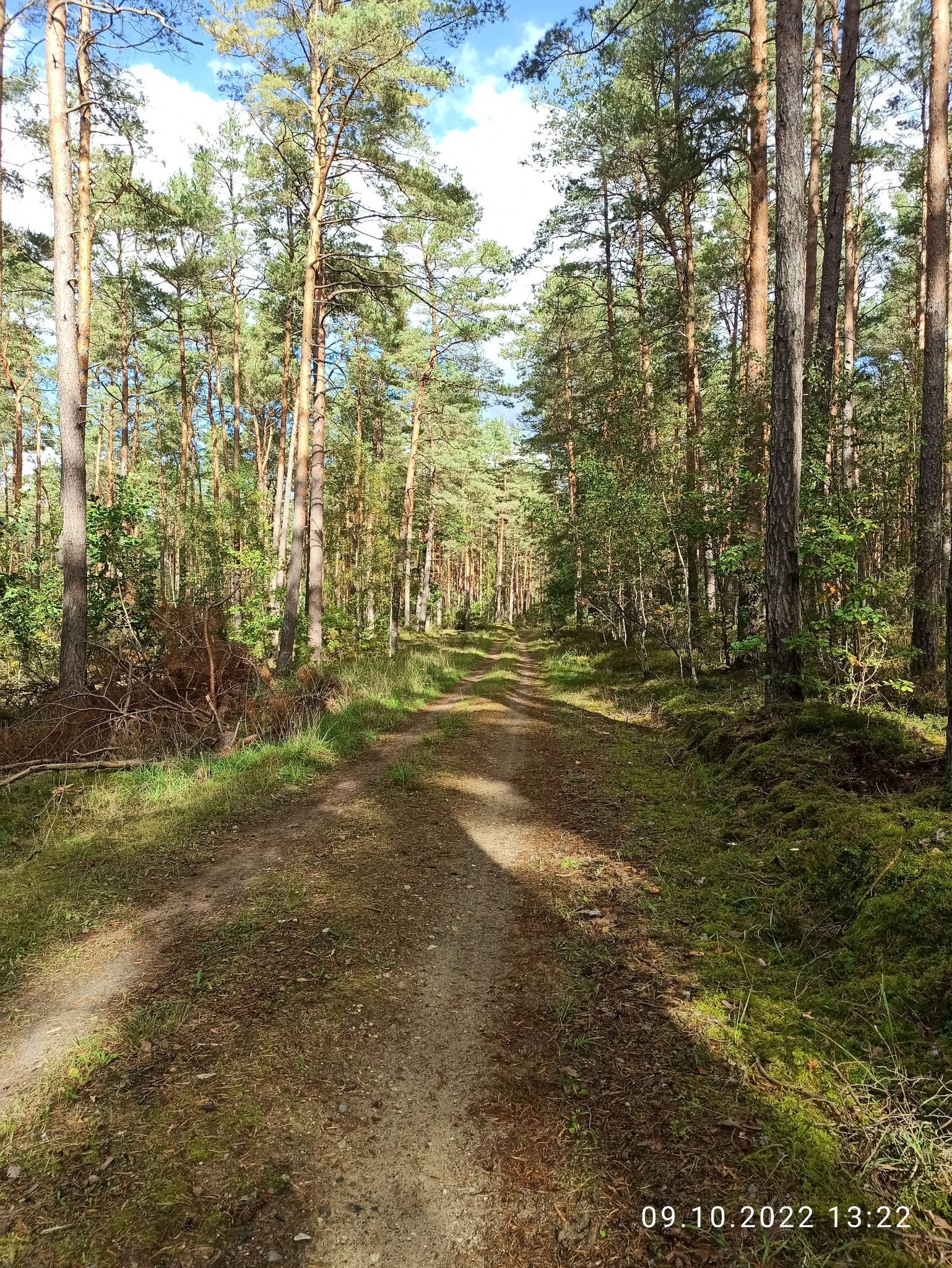 Von Jatznick geht es nun durch den Wald zurück nach Torgelow