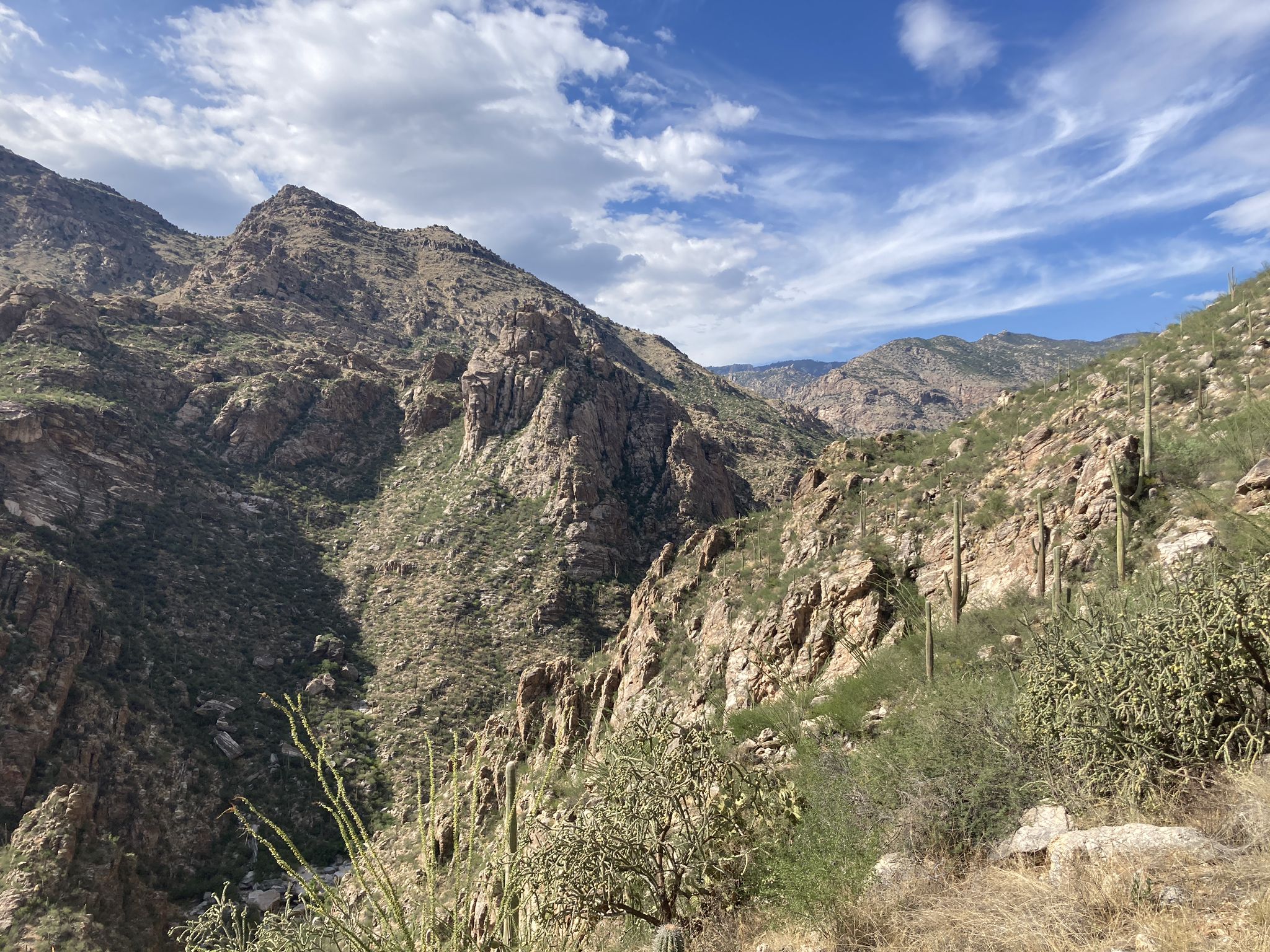 Rocky desert mountains and a deep canyon under a partly cloudy sky. - Sabino Canyon Trail to Hutch's Pool