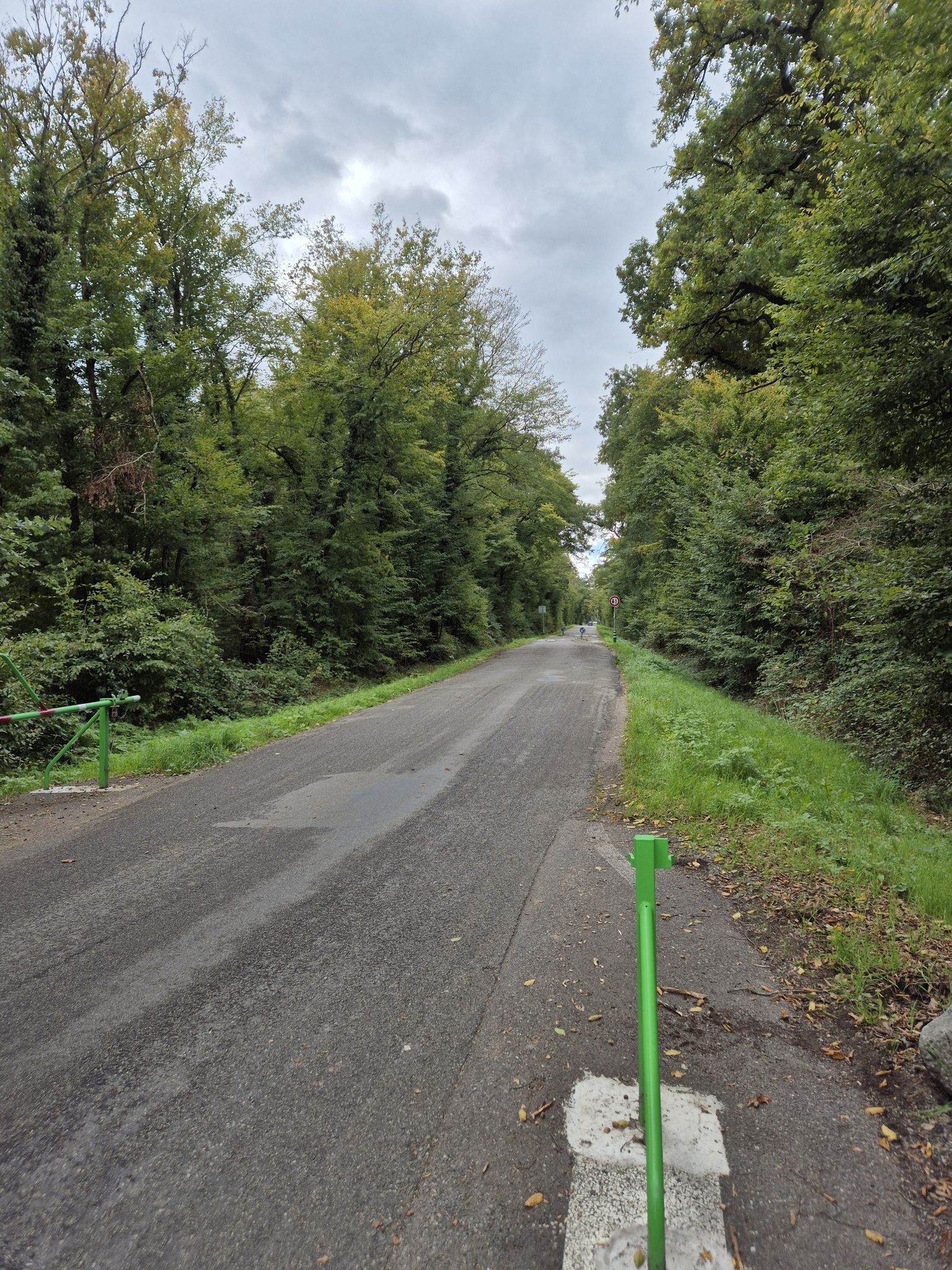 Weg