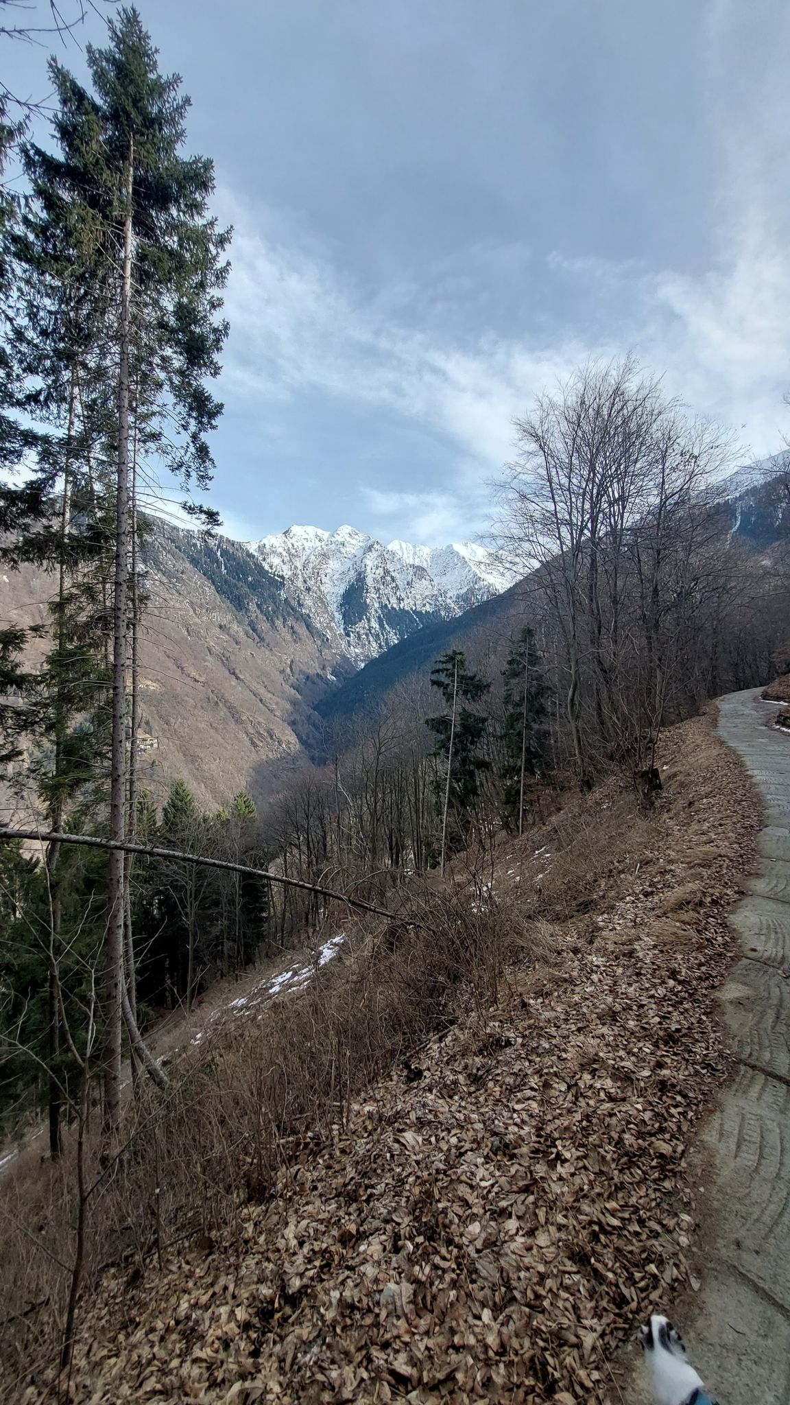 val lesina