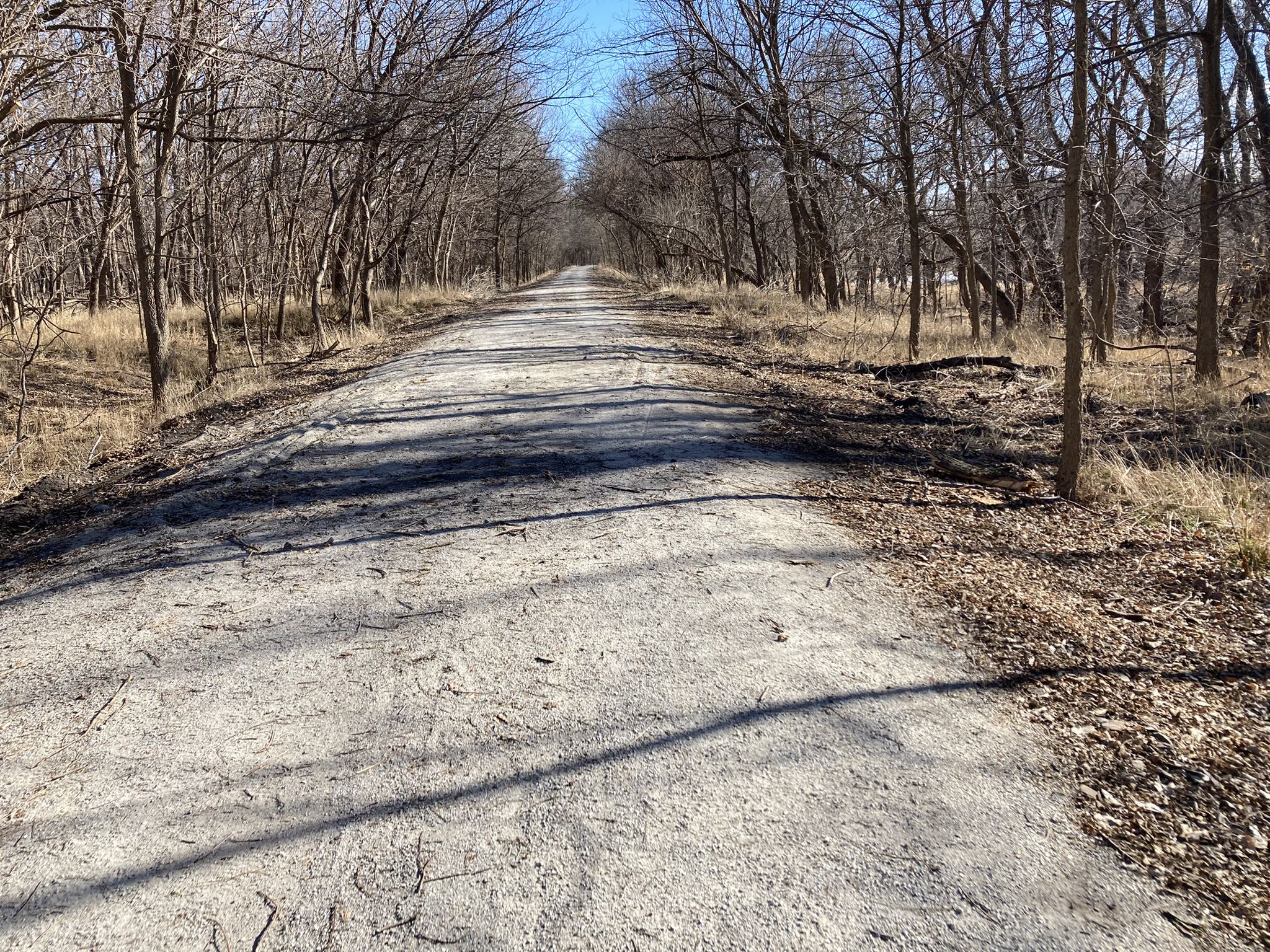 A straight dirt path lined with bare trees under bright sunlight. - Chief Standing Bear Trail