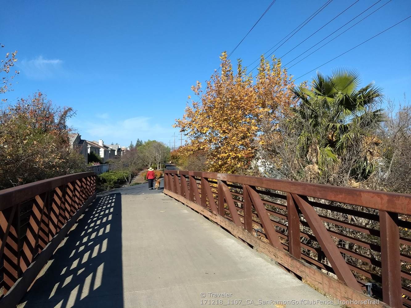 A person walks across a wooden bridge surrounded by trees under a clear sky. - Iron Horse Trail – Coyote Creek bridge loop from San Ramon
