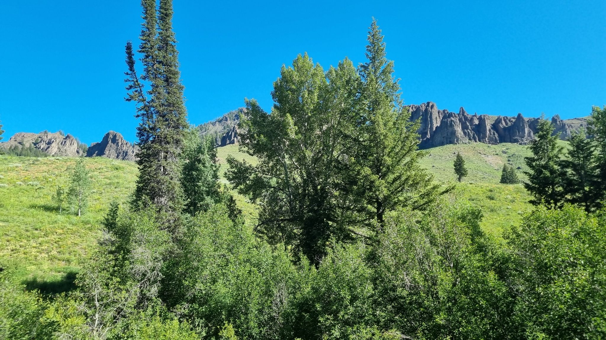 Rocky mountains rise above a lush green hillside under a clear blue sky. - Hiking loop from Hemingway/Northwood Natural Area