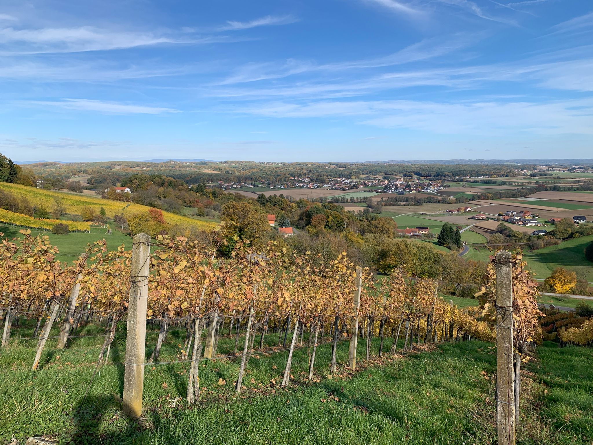 Weinhänge am Tautenberg