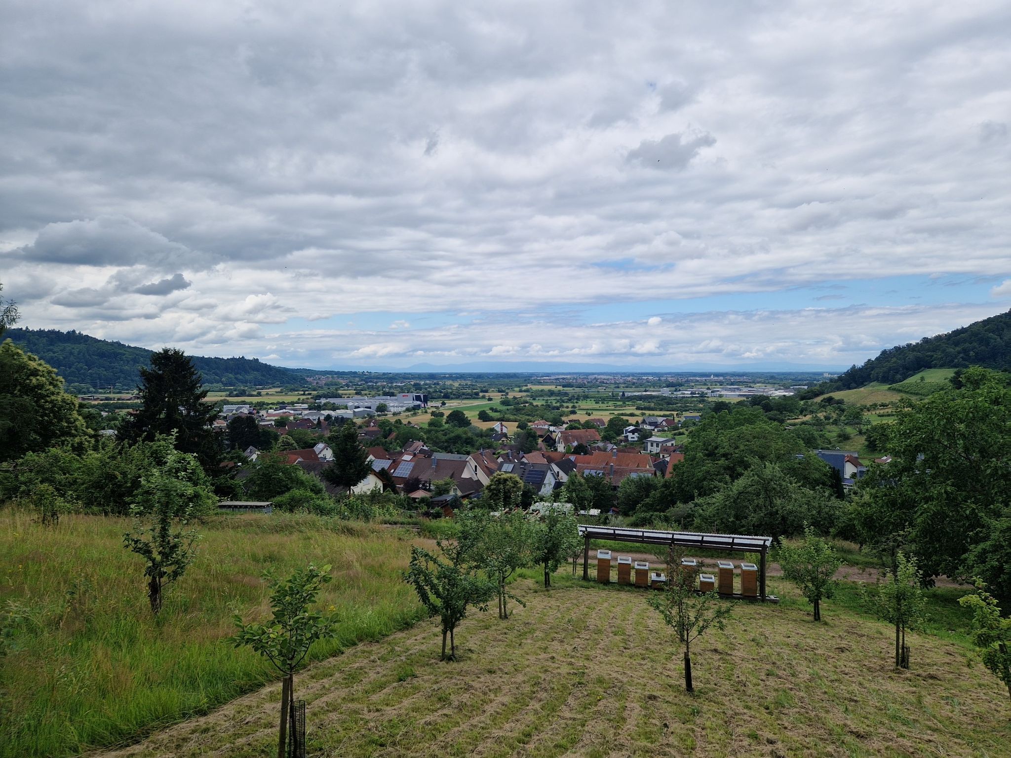 Blick Richtung Offenburg