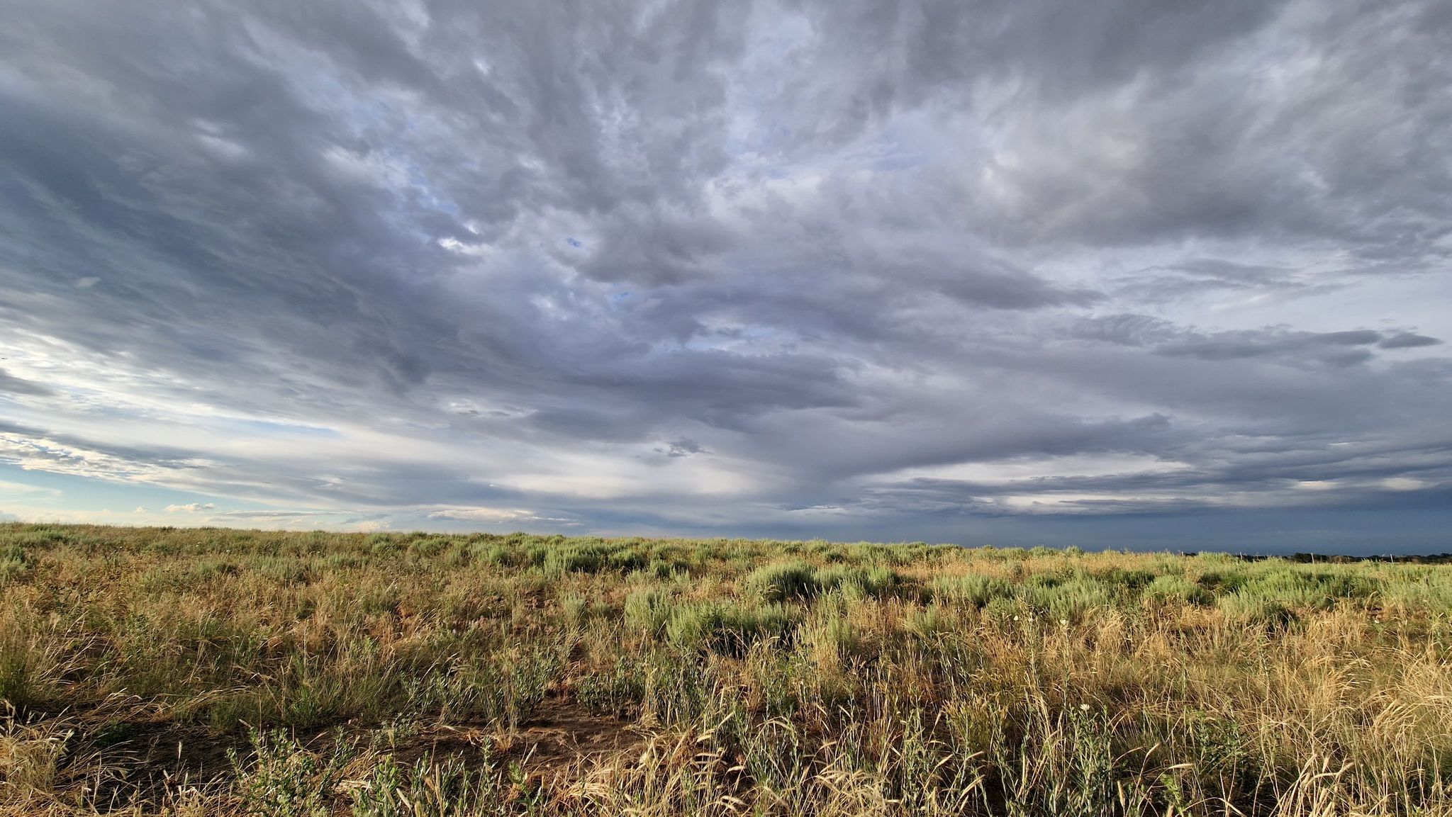 Expansive golden field under a dramatic, swirling cloudy sky. - Rocky Mountain Arsenal National Wildlife Refuge Perimeter Trail