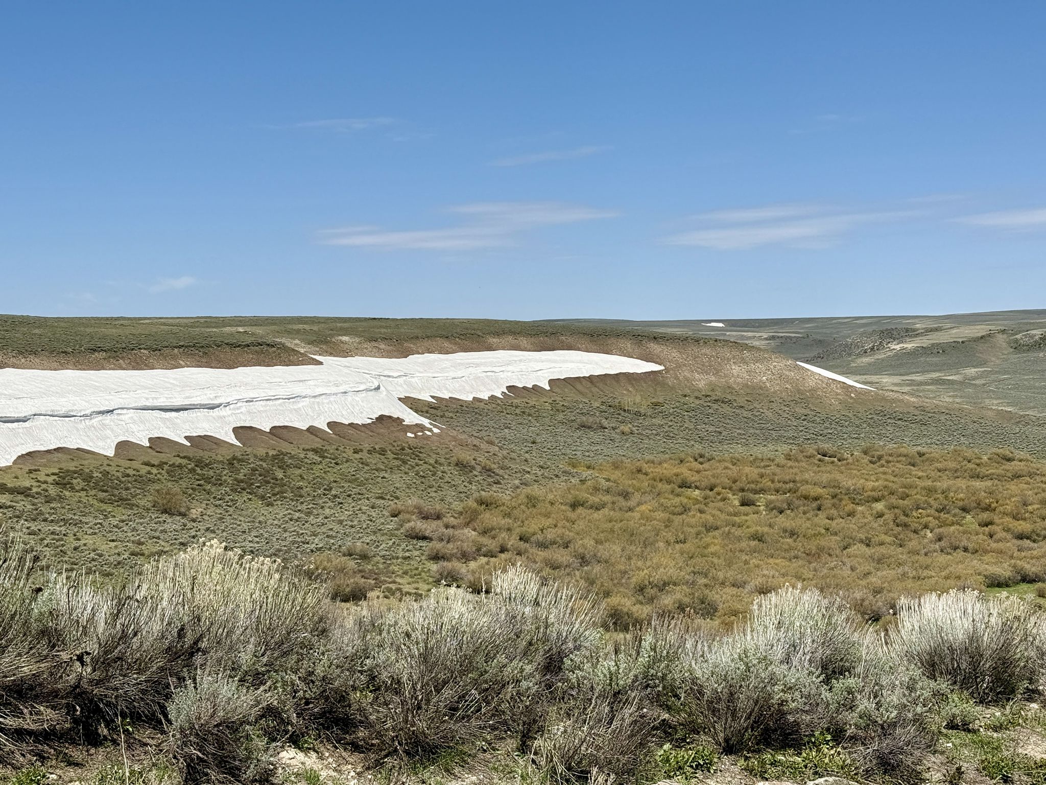 Expansive grassy hills with a large snow patch under a clear blue sky. - Sage Creek Road to Sage Creek Cliffs Overlook