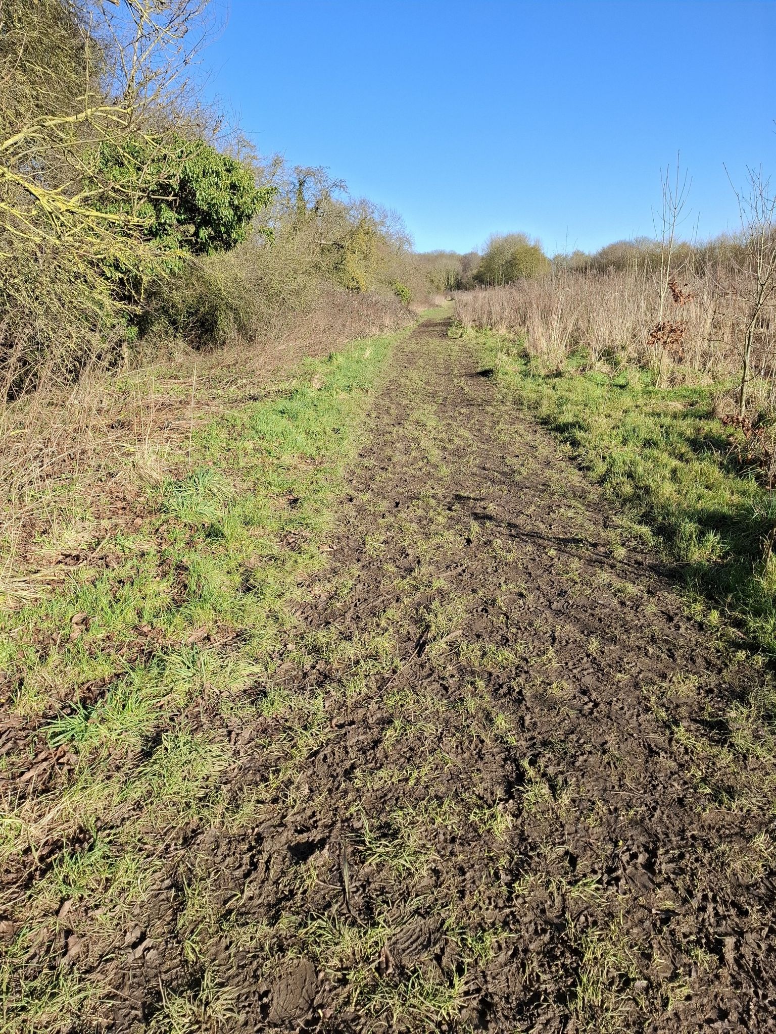 Hiking Path